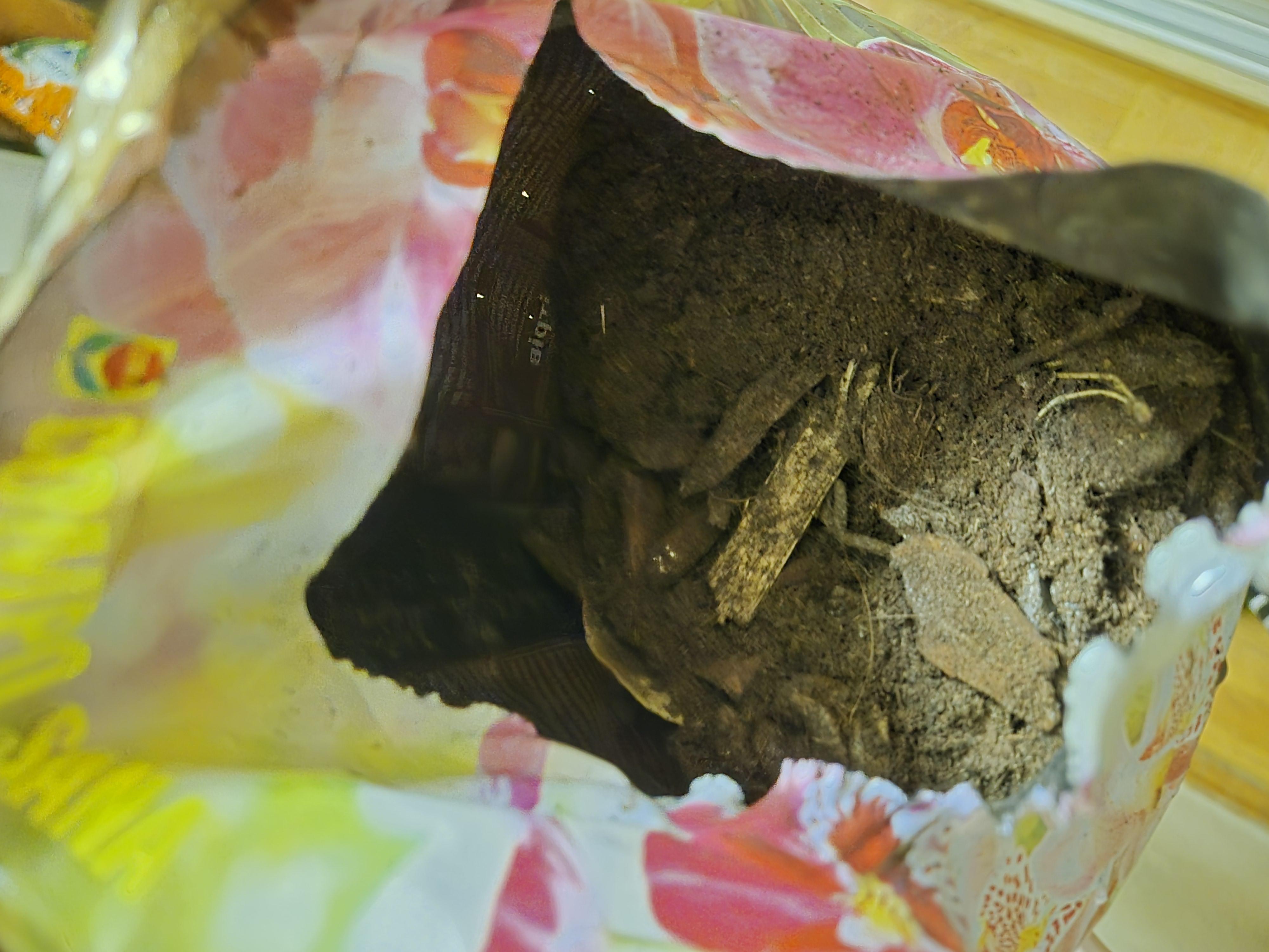 Субстрат для орхидей Compo SANA 5 л 1611 в реальных условиях использования от покупателя Данило.