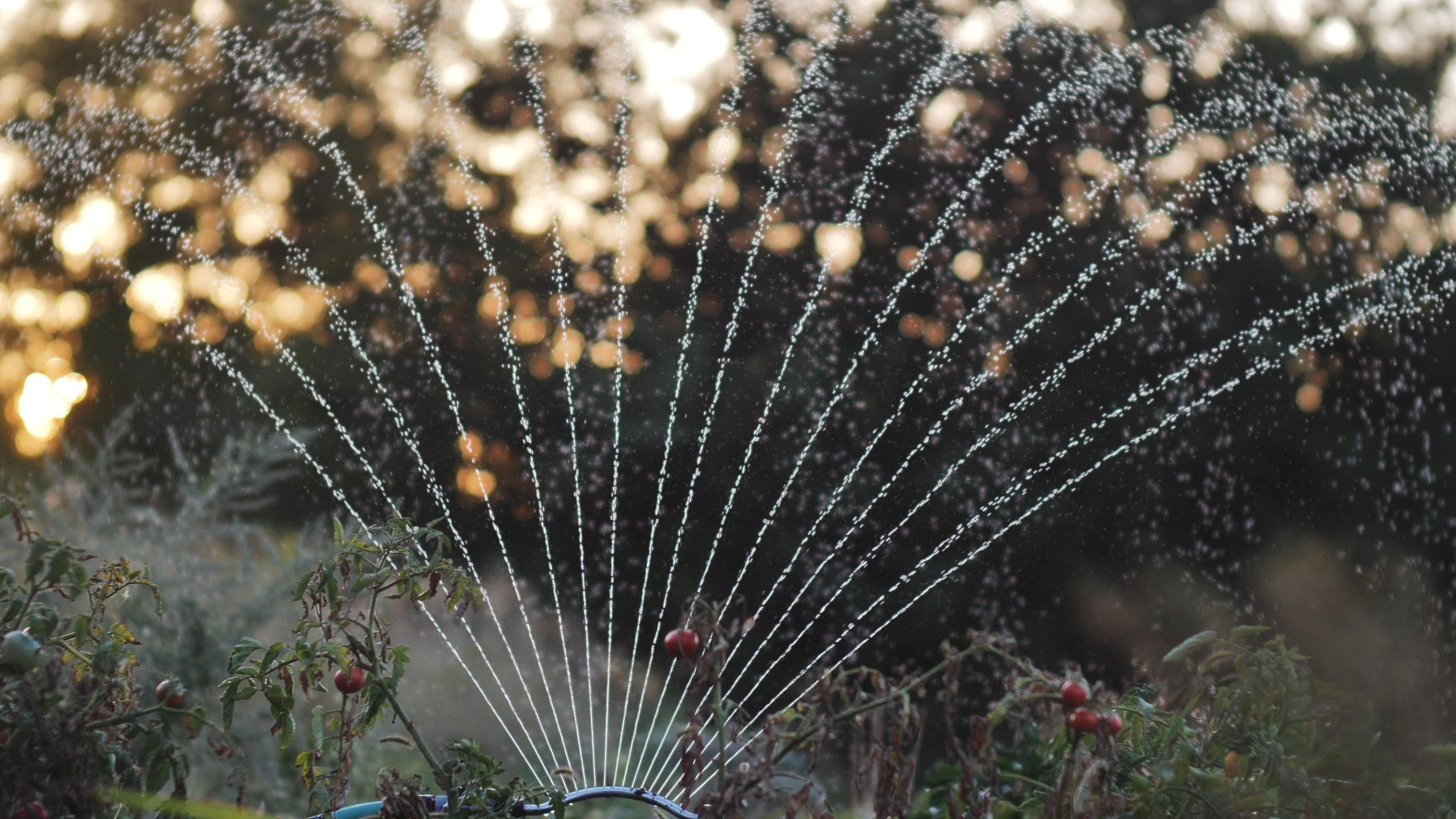 Дождеватель Presto-PS осциллирующий Bravo (7821) в реальных условиях использования от покупателя Владислав.