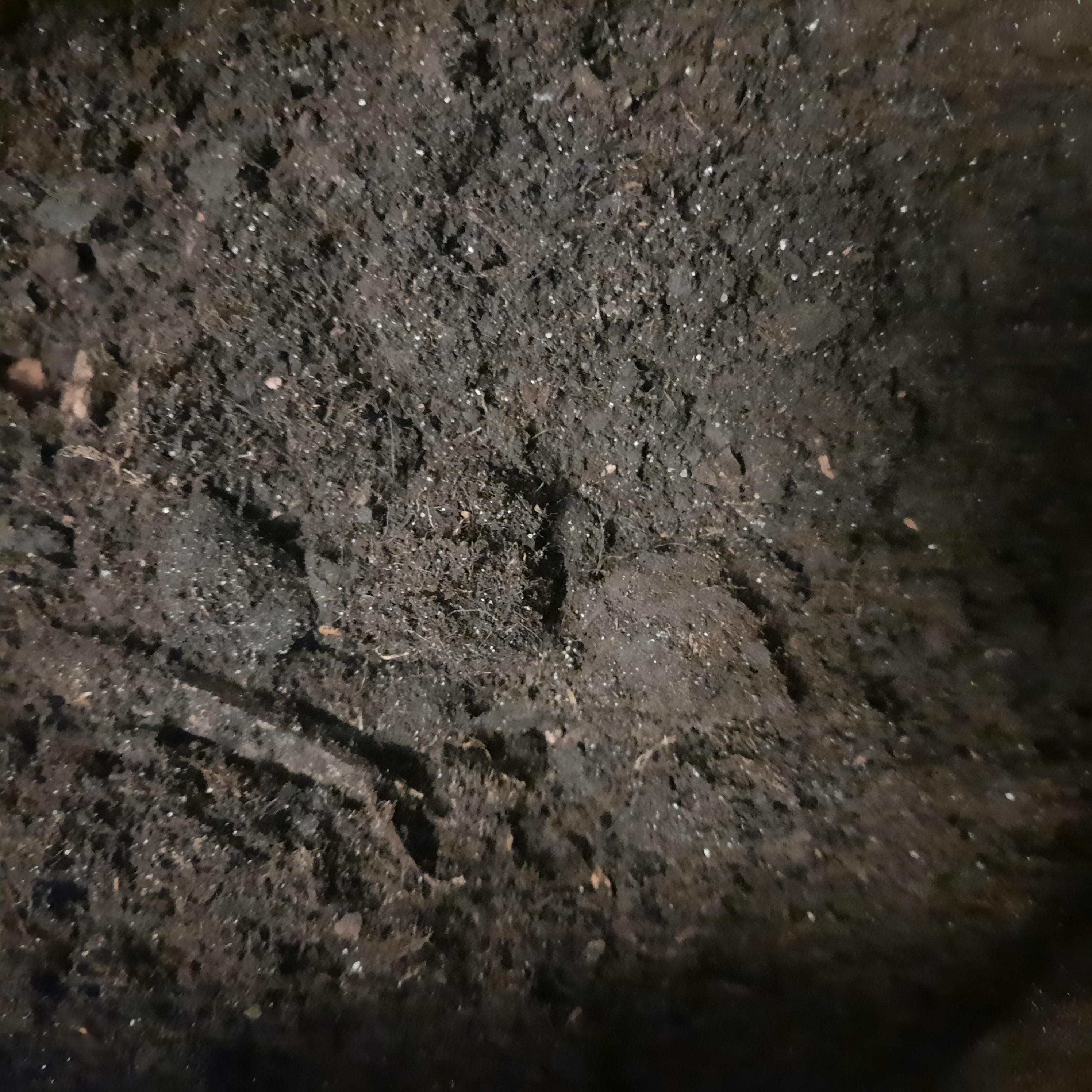 Субстрат Eco Plus Универсальный 20 л в реальных условиях использования от пользователя Алла.