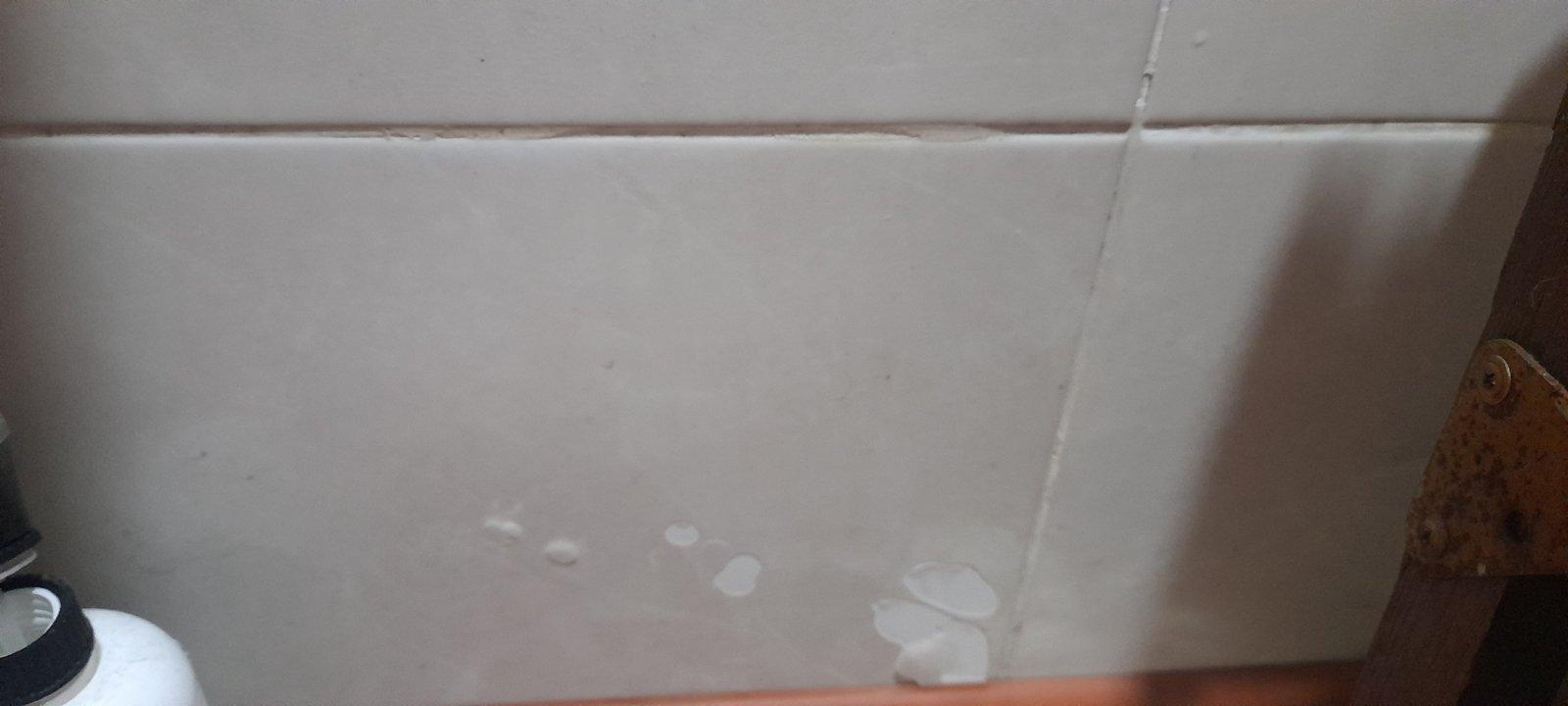 Плитка Golden Tile Constanta beige 4М1051 25x40 см у реальних умовах використання від користувача Ганна.
