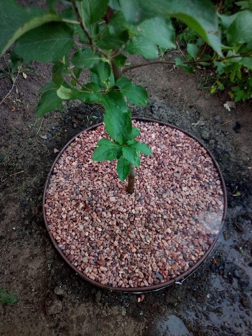 Кварцит Bionic House Червоний 10-20 мм 10 кг у реальних умовах використання від користувача Алексей.