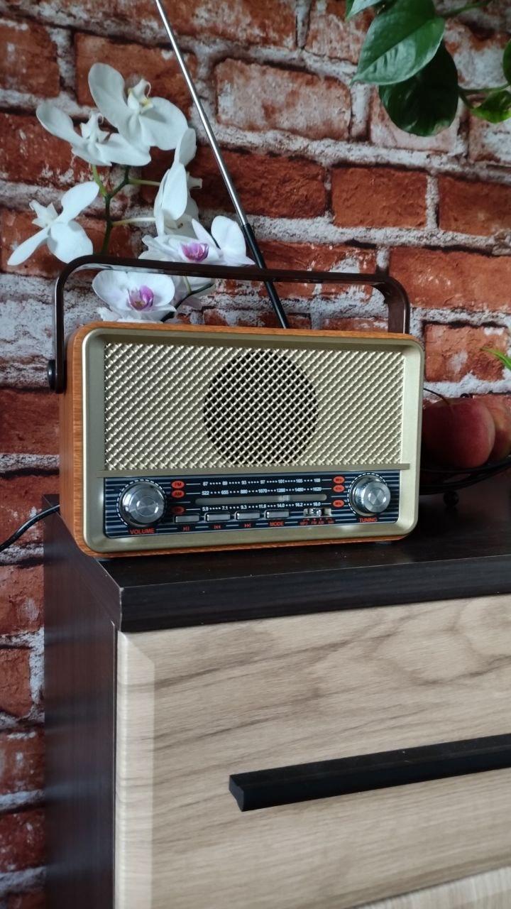 Радіоприймач Kemai MD-511 на акумуляторі Коричневий (24385405) у реальних умовах використання від покупця Лариса.