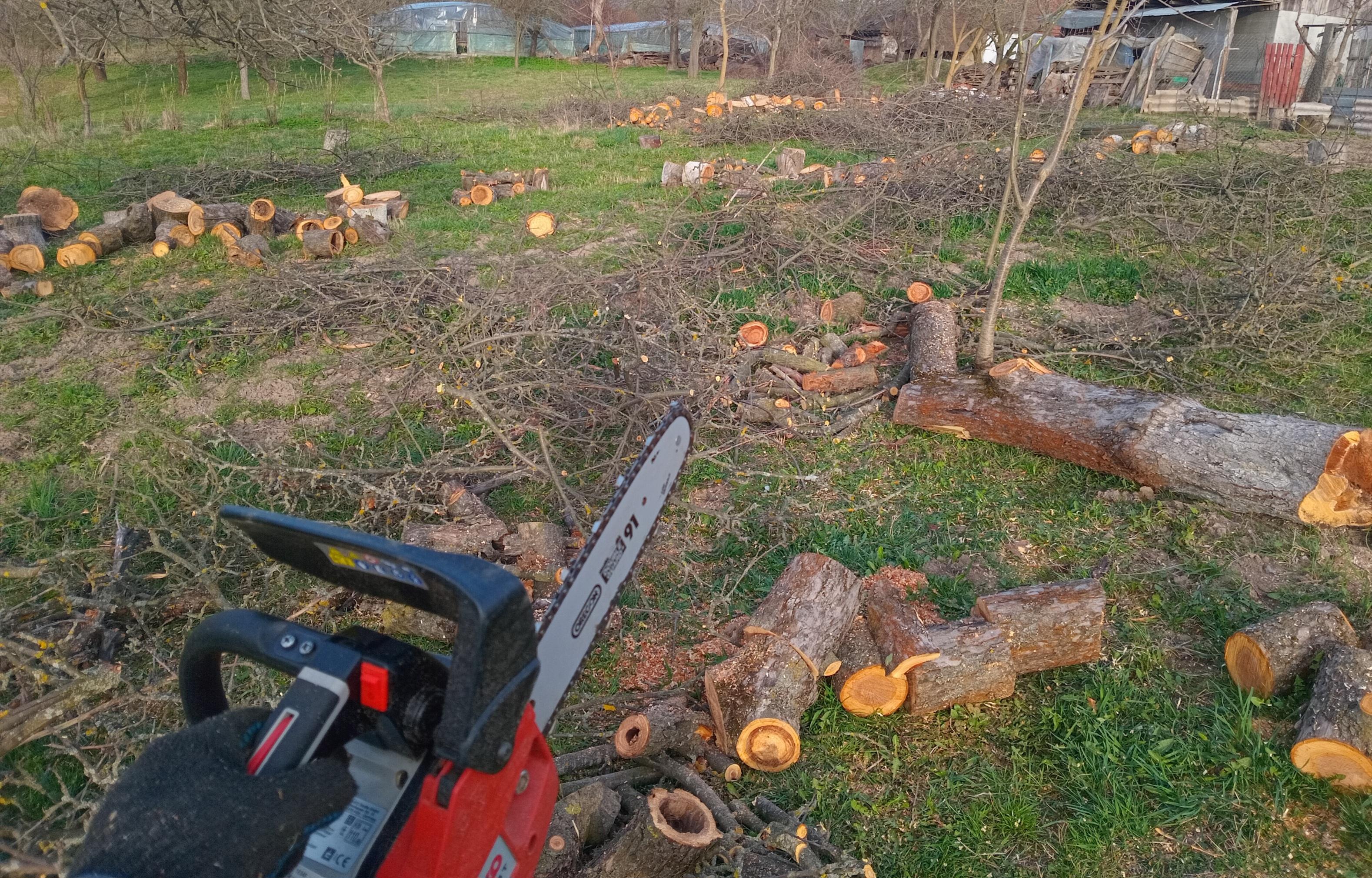 Бензопила AL-KO BKS 2625 Т в реальных условиях использования от пользователя Владислав.