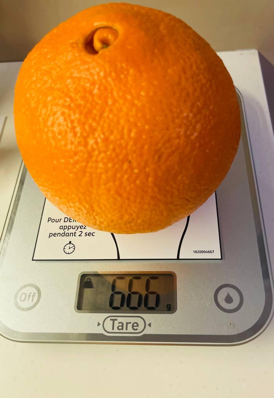 Весы кухонные Tefal Optiss BC50D4V0 в реальных условиях использования от пользователя Юля Абрамець.