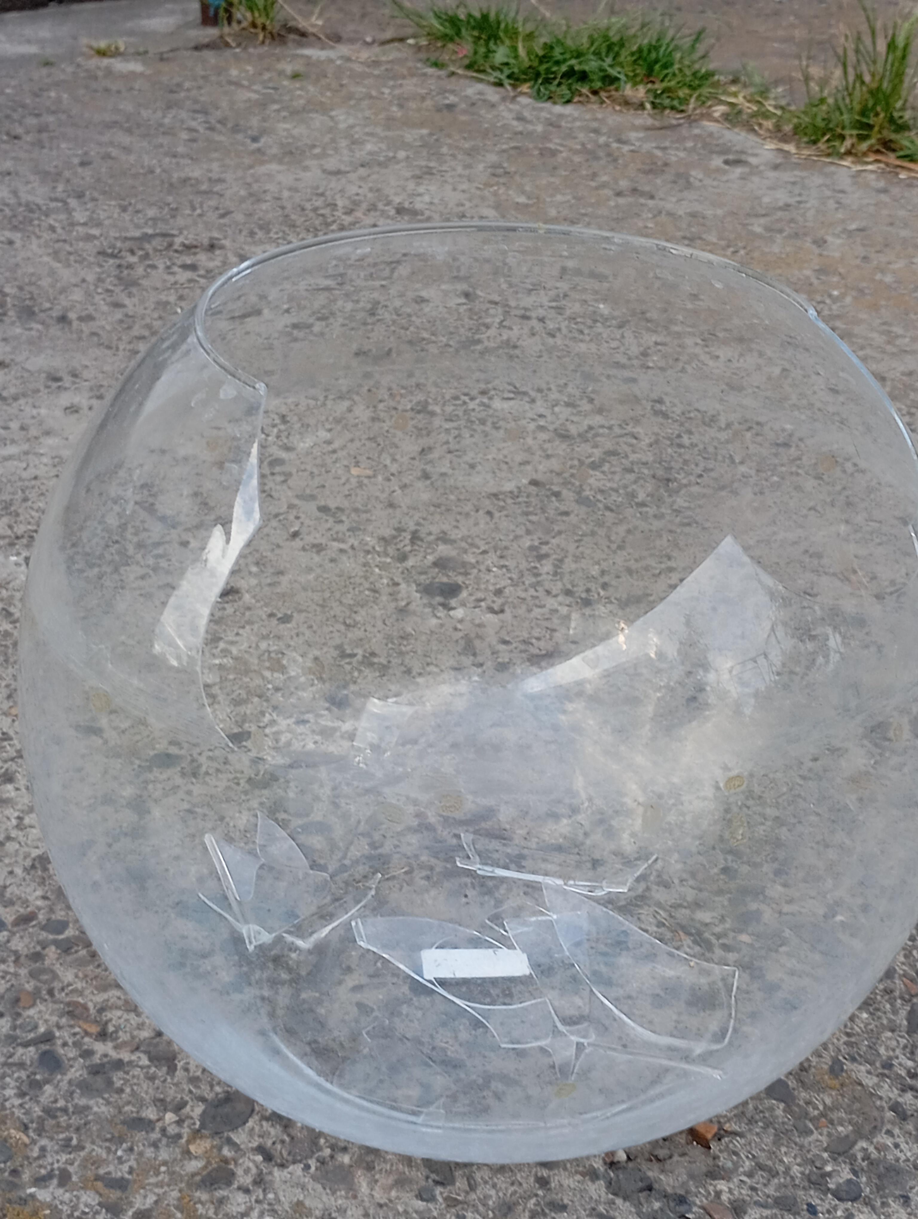 Ваза-акваріум Wrzesniak Glassworks 24,5 см прозора 17-106B у реальних умовах використання від покупця Надія.