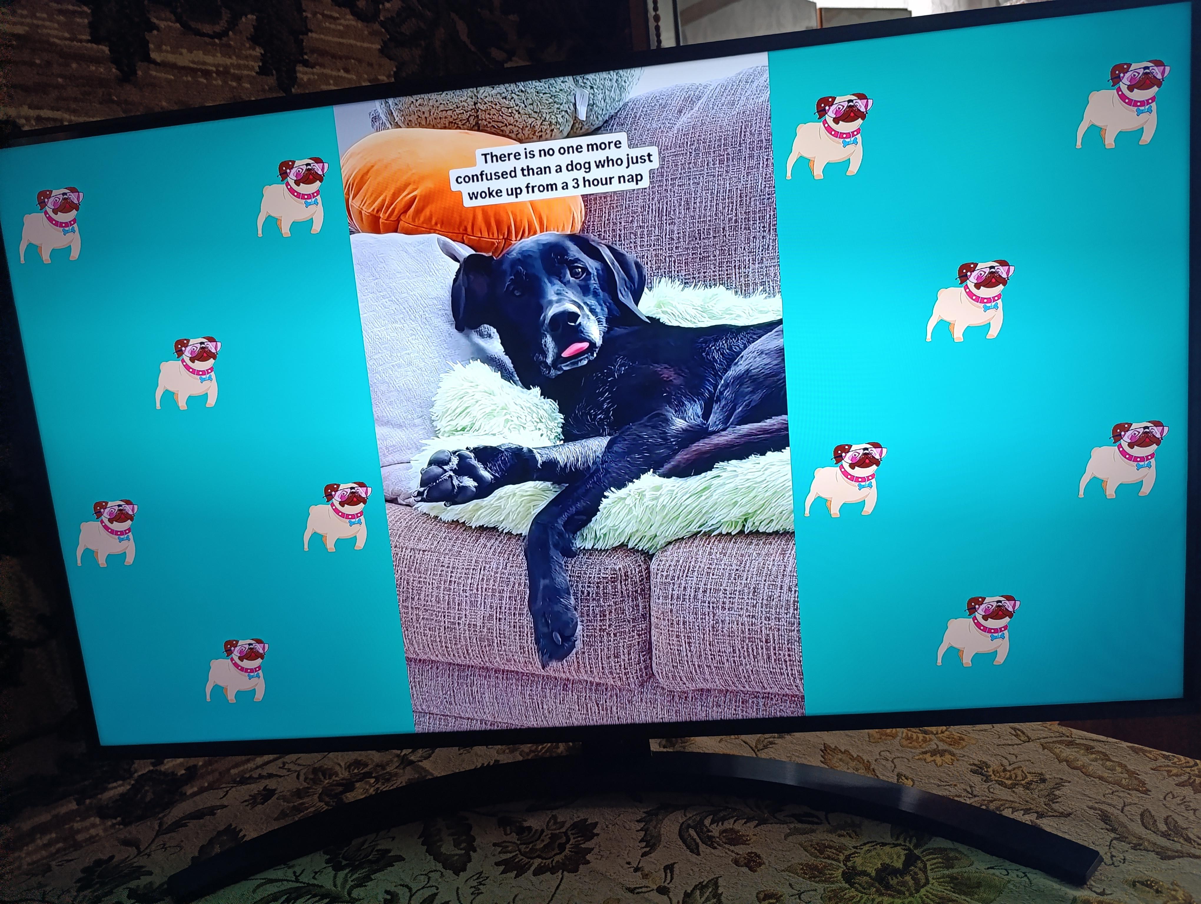 Телевизор LG 75NANO81A6A 75″ в реальных условиях использования от покупателя Катя.