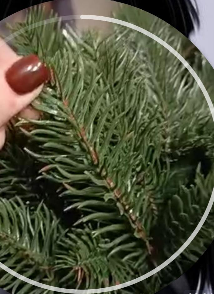 Фото: Ялинка штучна лита ЕЛІТ з металевою підставкою на 30% пишніша 1,52 м Зелений (27986116), надіслане покупцем Єлизавета Ялинка штучна лита ЕЛІТ з металевою підставкою на 30% пишніша 1,52 м Зелений (27986116) у реальних умовах використання від покупця Єлизавета.