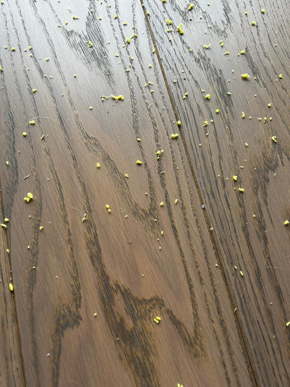 Мешок-сетка для стирки обуви, мешочек-чехол для кроссовок (20947663) в реальных условиях использования от покупателя Володимир.