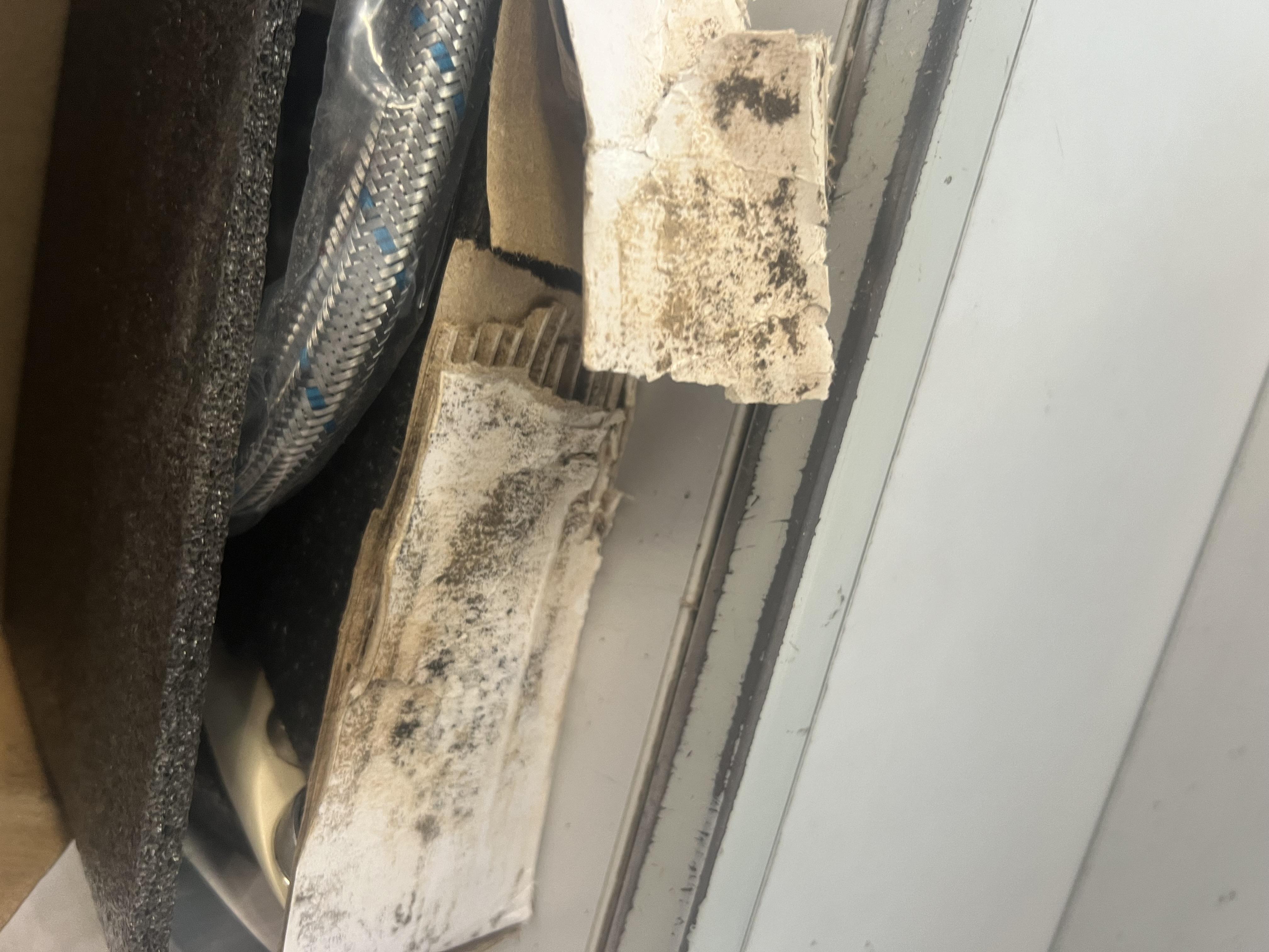 Фото: Кухонний змішувач для гранітної мийки CONTINEN ISLAND i8 Бежевий, надіслане покупцем Анжеліка Кухонний змішувач для гранітної мийки CONTINEN ISLAND i8 Бежевий у реальних умовах використання від покупця Анжеліка.