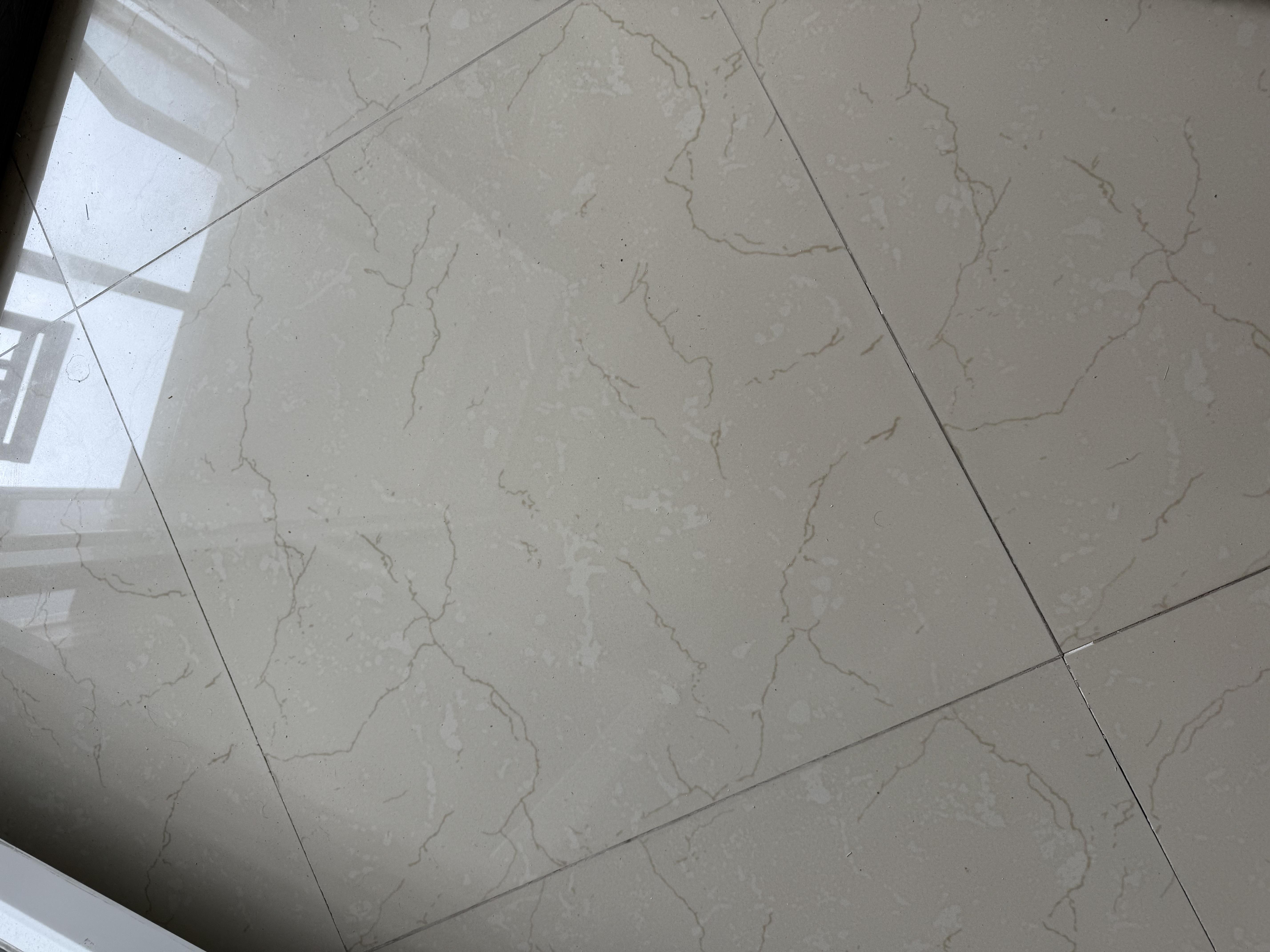 Фото: Плитка Allore Group Eleganza Beige F P R Somat 60x60 см, отправлено пользователем Ігор Плитка Allore Group Eleganza Beige F P R Somat 60x60 см в реальных условиях использования от пользователя Ігор.