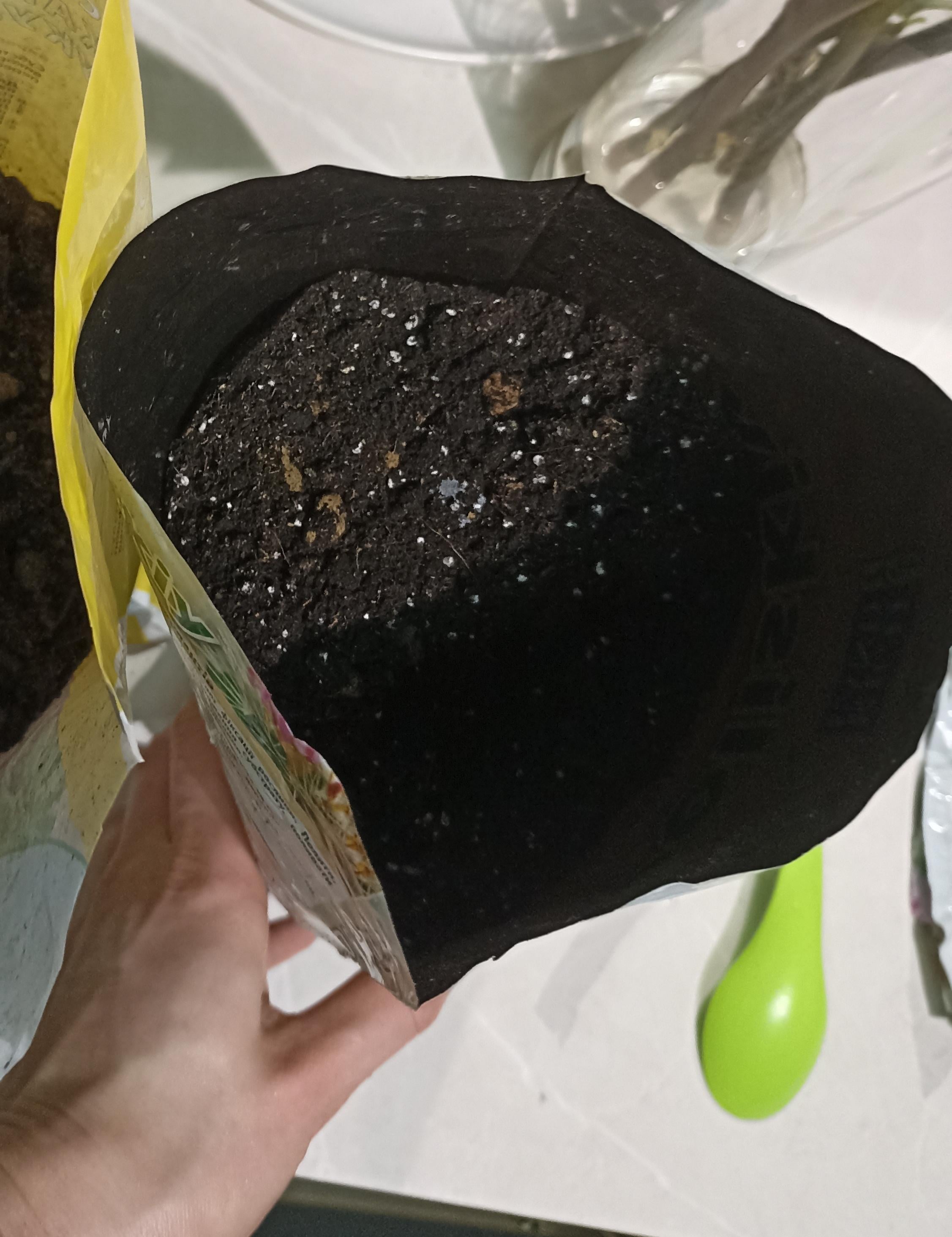 Субстрат Поліський для кактусів Преміум 2,5 л у реальних умовах використання від користувача Світлана.