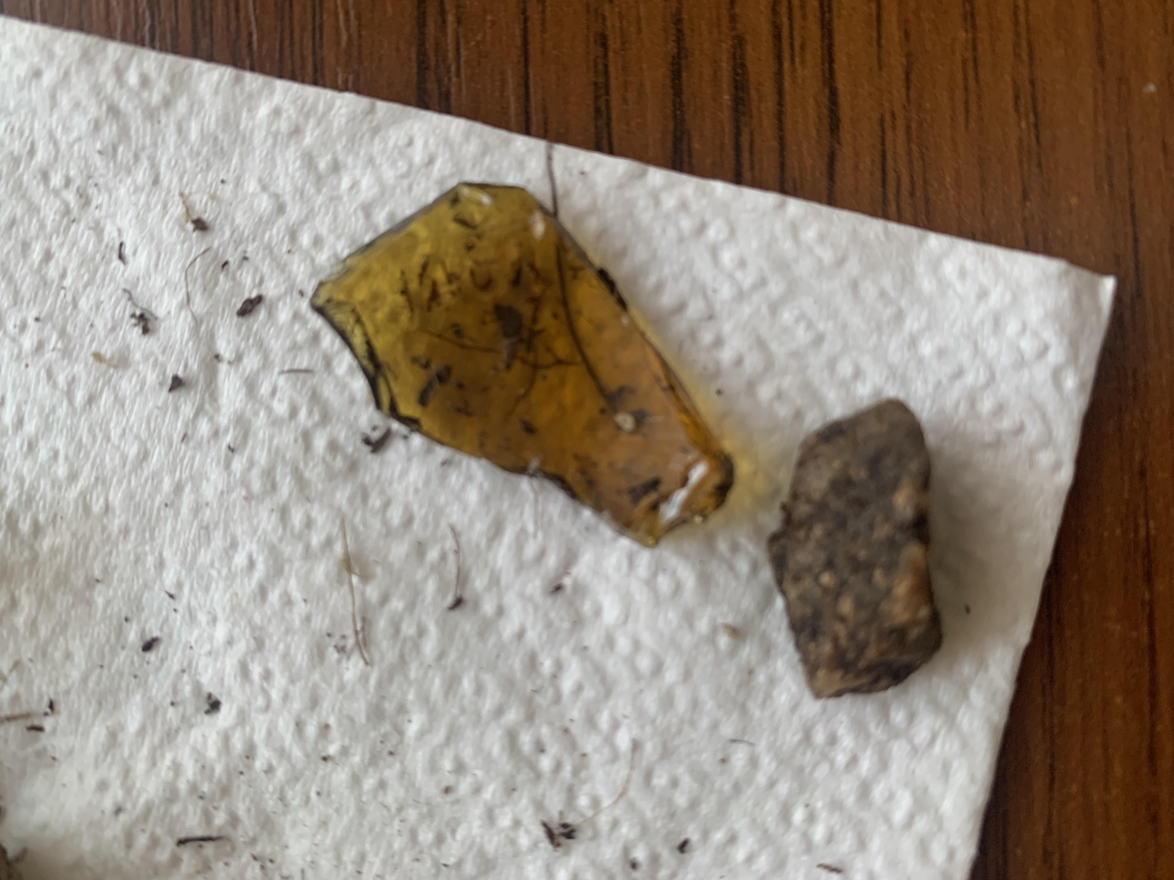 Субстрат Royal Mix Пінія для орхідей 3 л у реальних умовах використання від покупця Ольга.