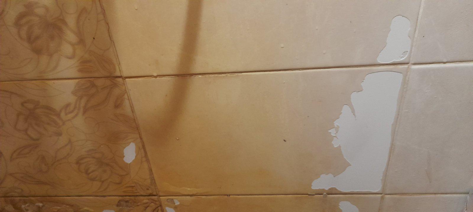 Плитка Golden Tile Constanta beige 4М1051 25x40 см у реальних умовах використання від користувача Ганна.