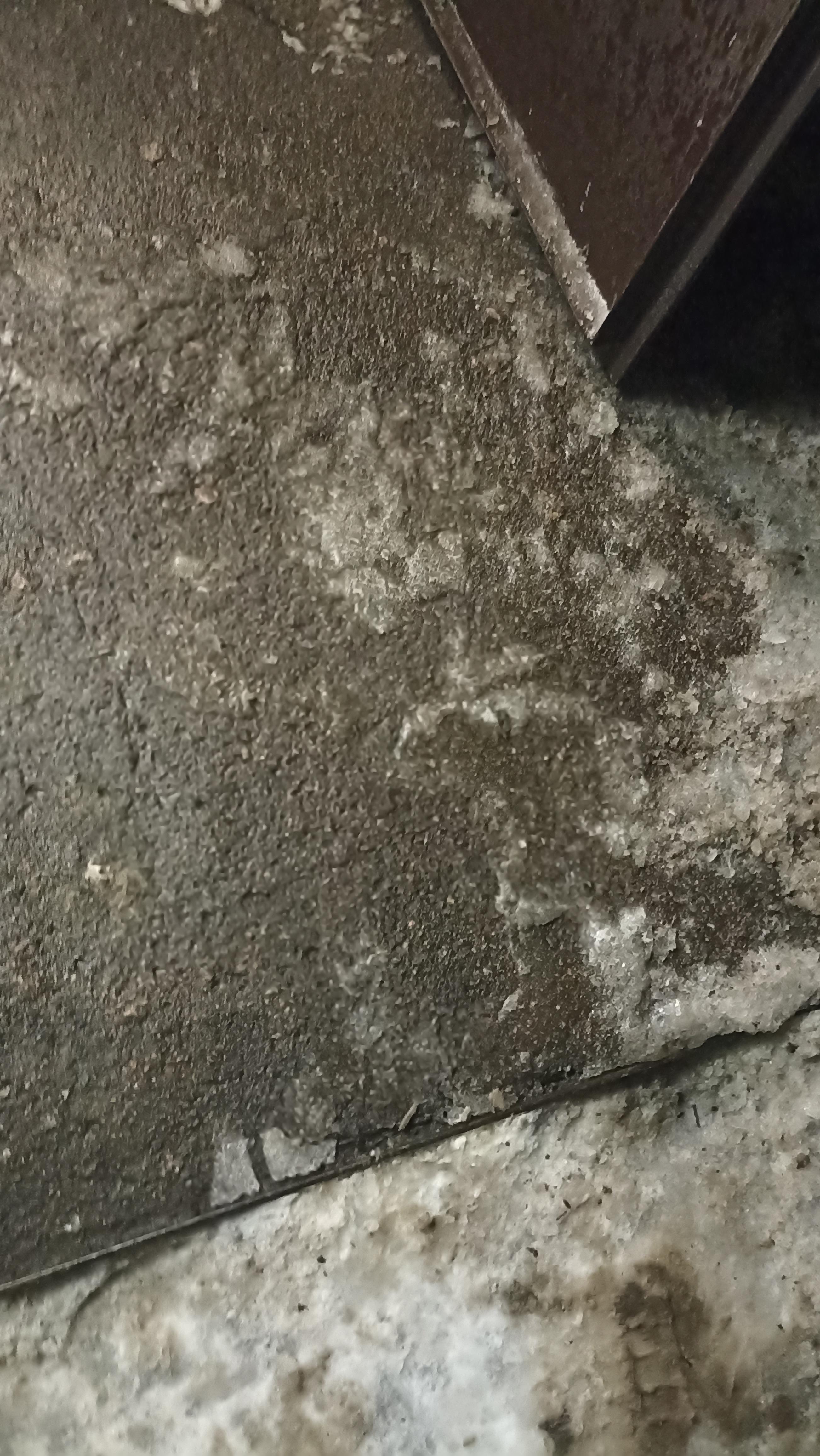 Фото: Протиожеледний реагент Руйнівник Криги 10 л, надіслане покупцем Роман Протиожеледний реагент Руйнівник Криги 10 л у реальних умовах використання від покупця Роман.