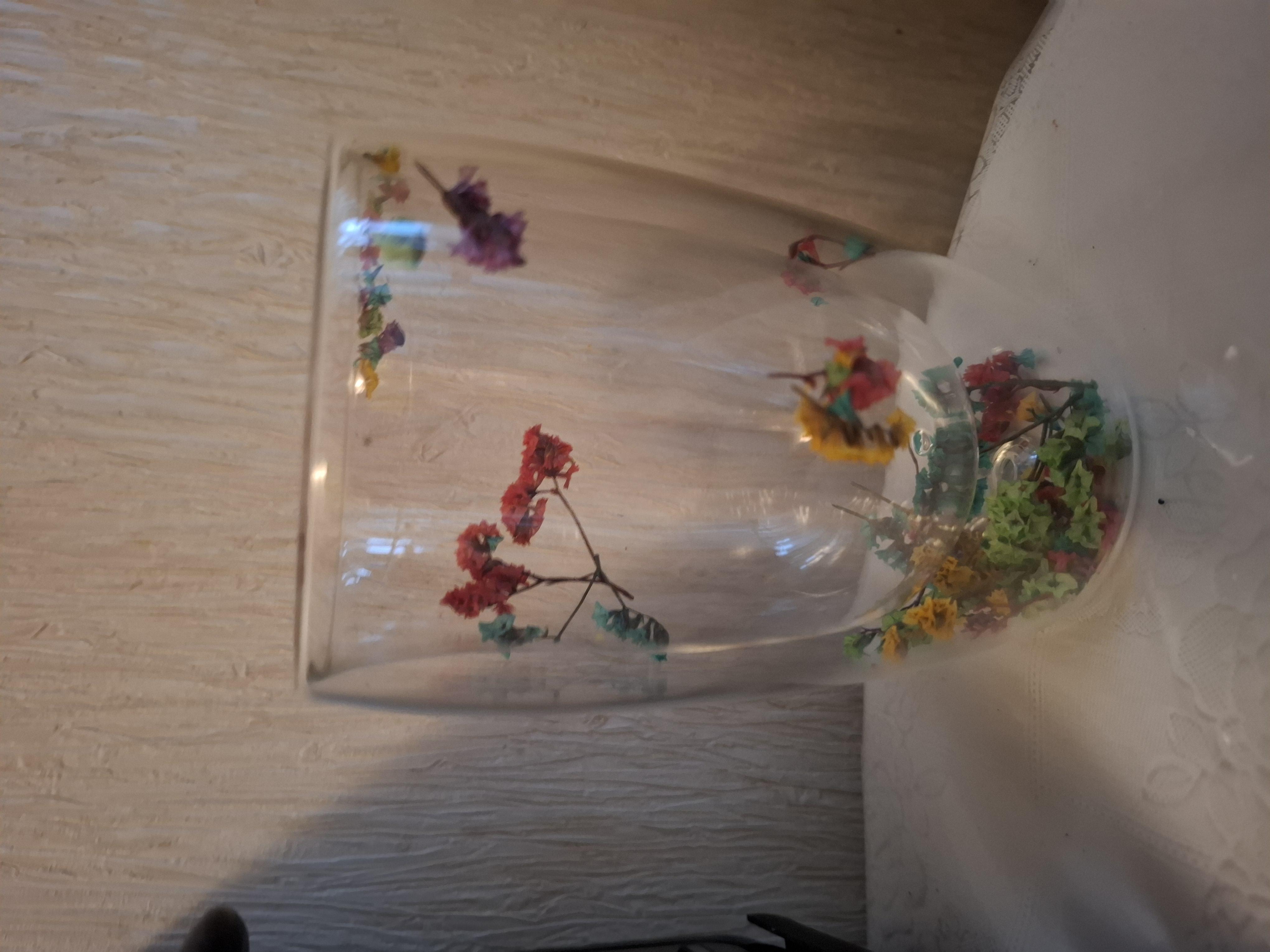 Склянка скляна з подвійними стінками Сухоцвіти 450 мл у реальних умовах використання від покупця Олена.