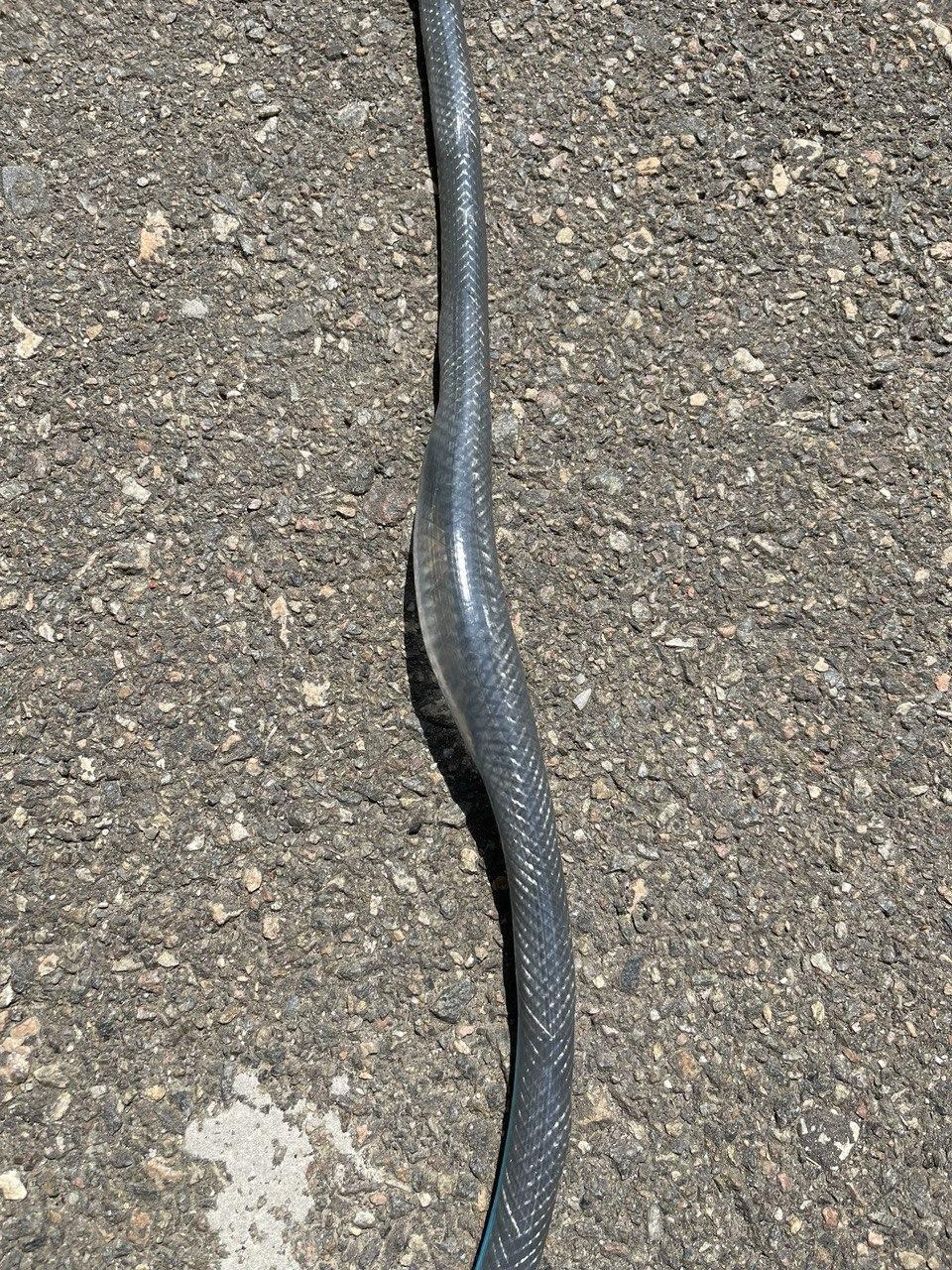 Садовый шланг Klever 1/2" 20 м в реальных условиях использования от пользователя Александр.