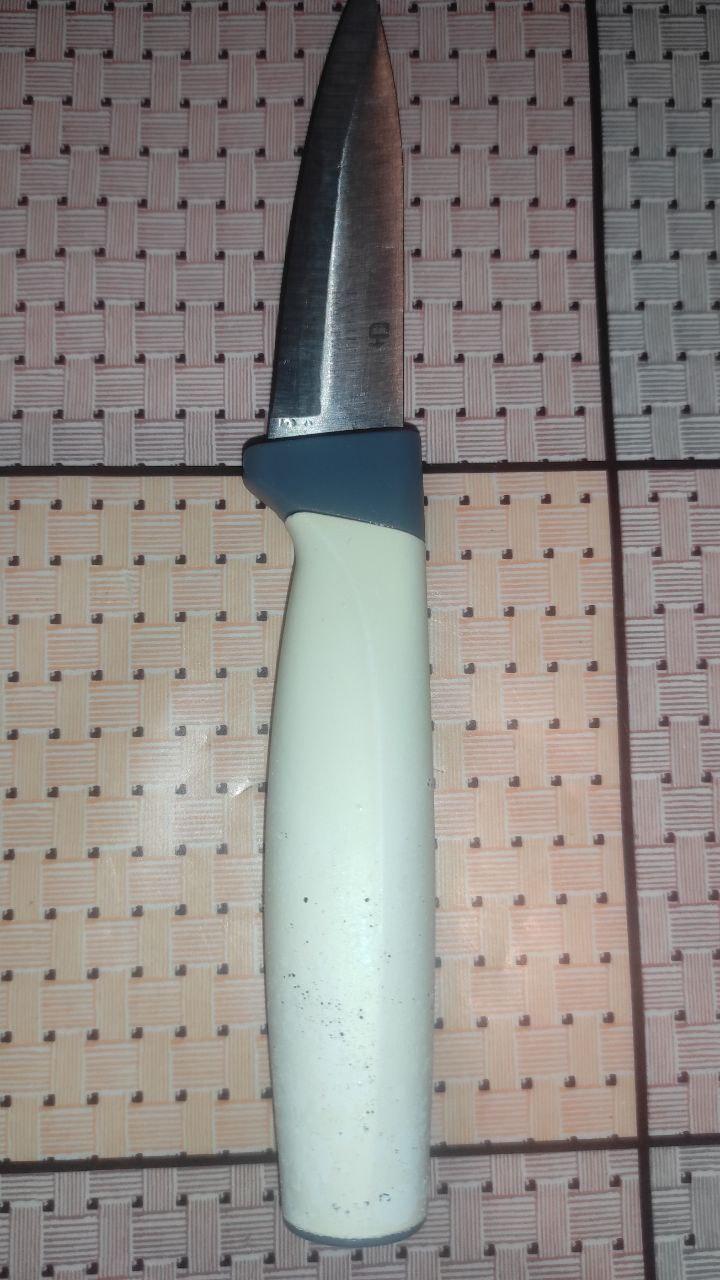 Набор ножей Excellent Houseware 5 шт. в реальных условиях использования от покупателя Ростислав.