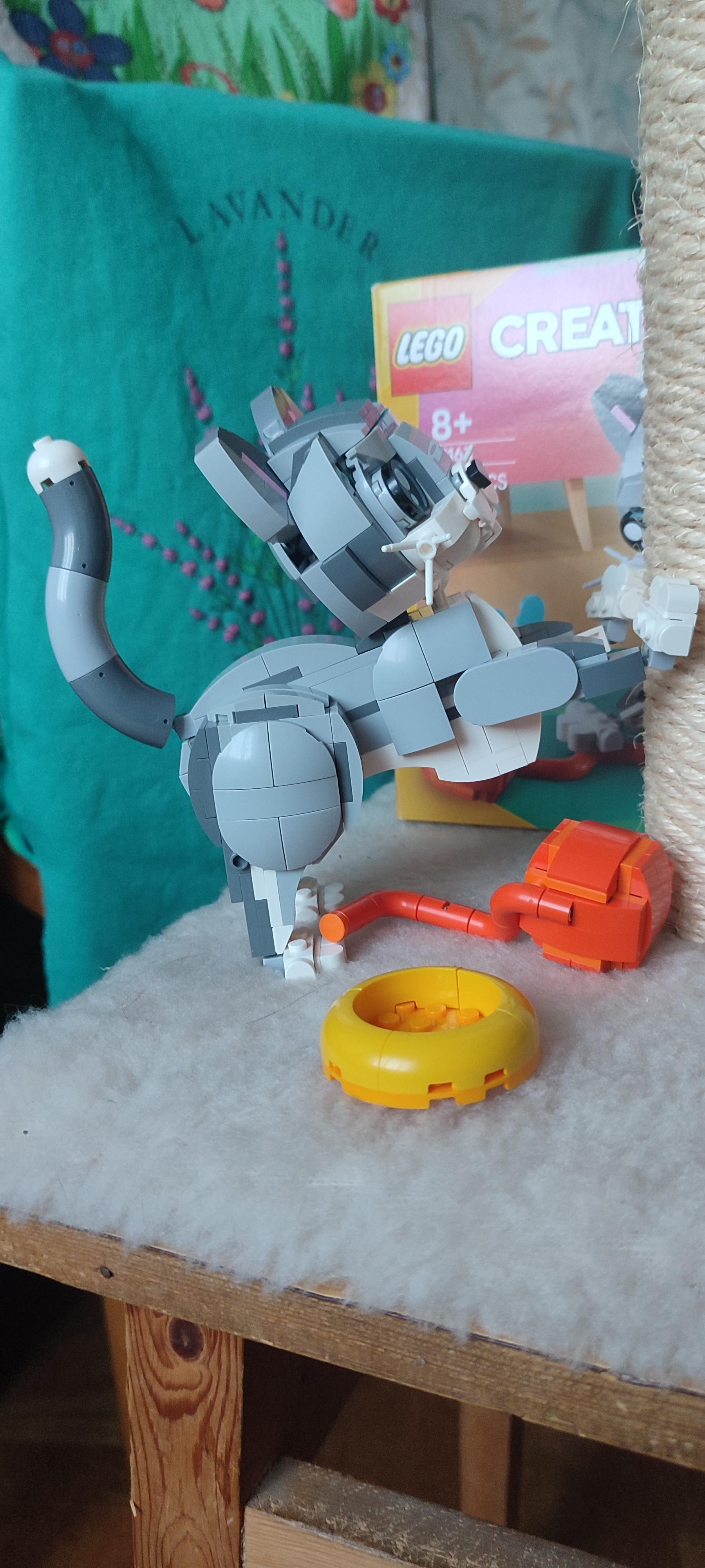 Конструктор LEGO Creator Игривый кот 31163 в реальных условиях использования от покупателя Вероніка.