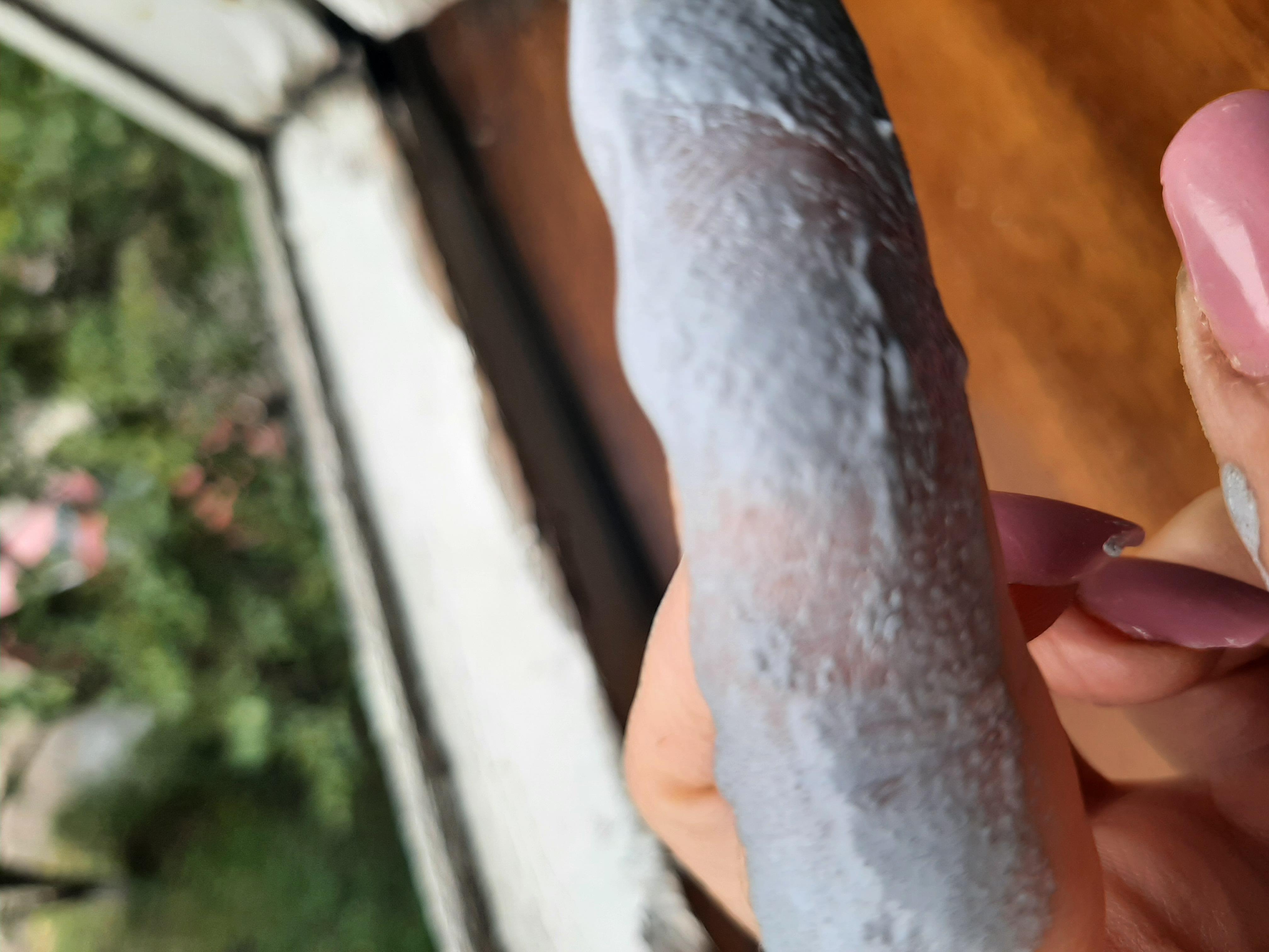 Фото: Краска резиновая Skyline РабберФлекс структурная 7 кг RAL 7046 Серый, отправлено покупателем Алина Краска резиновая Skyline РабберФлекс структурная 7 кг RAL 7046 Серый в реальных условиях использования от покупателя Алина.