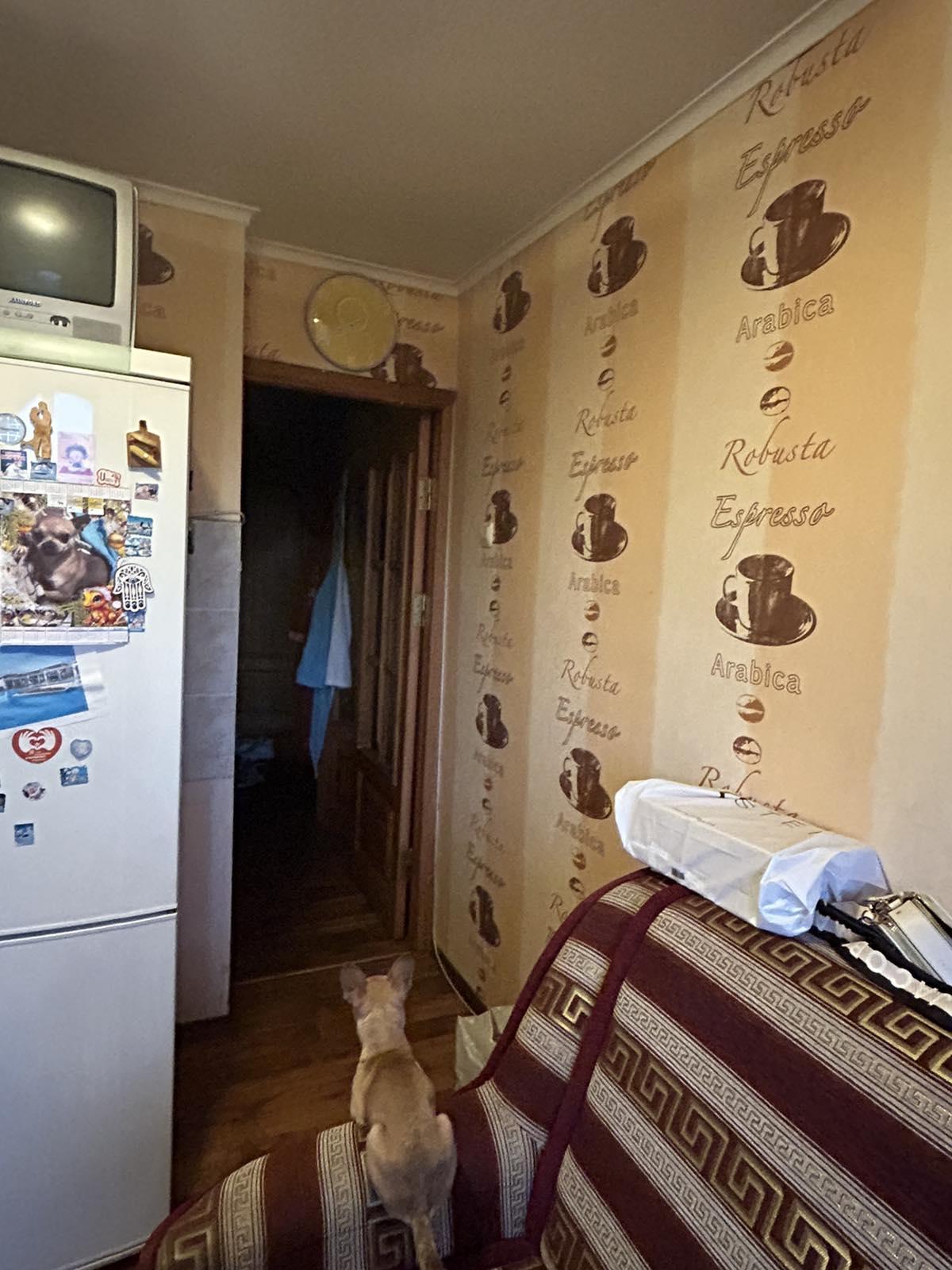 Часы настенные Апельсин в реальных условиях использования от покупателя Журавкова.