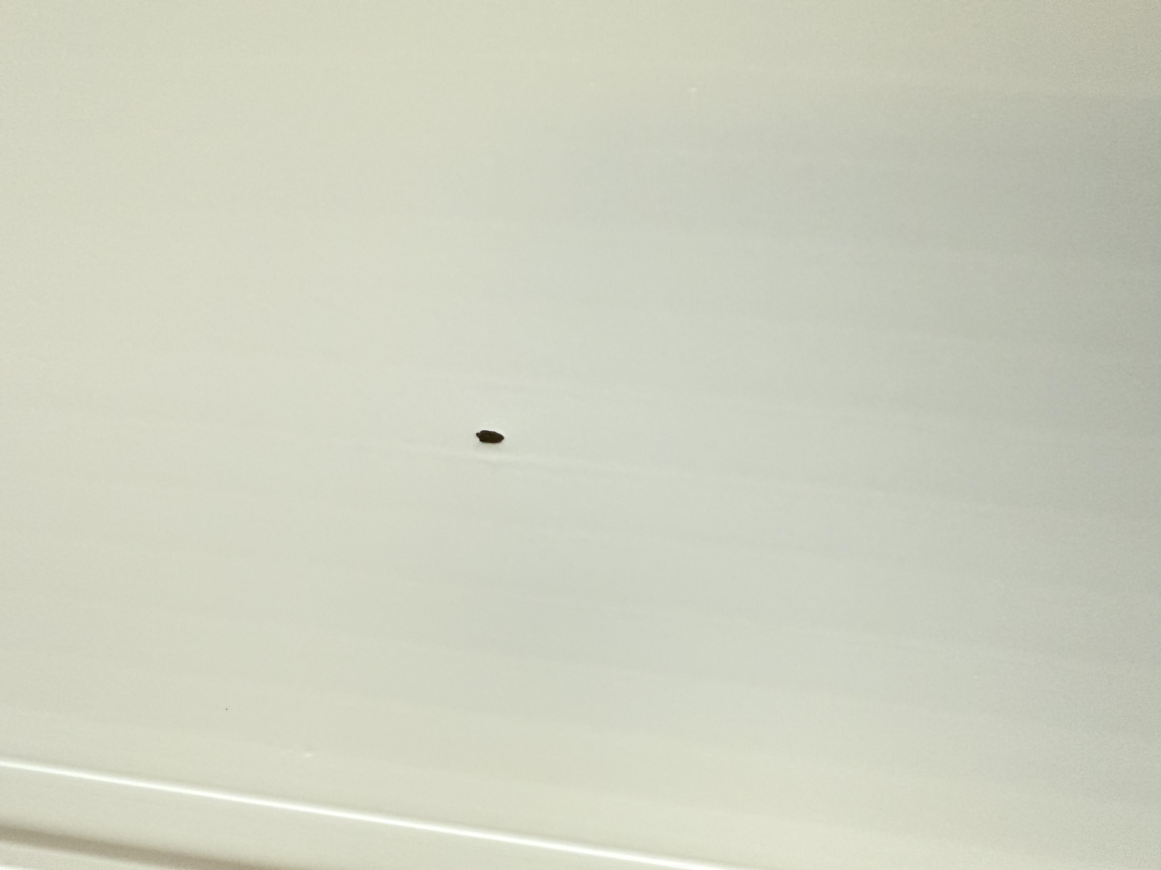 Панель ПВХ RIF 7х250х2000 мм 0,5 кв.м Білий матовий у реальних умовах використання від покупця Олег.