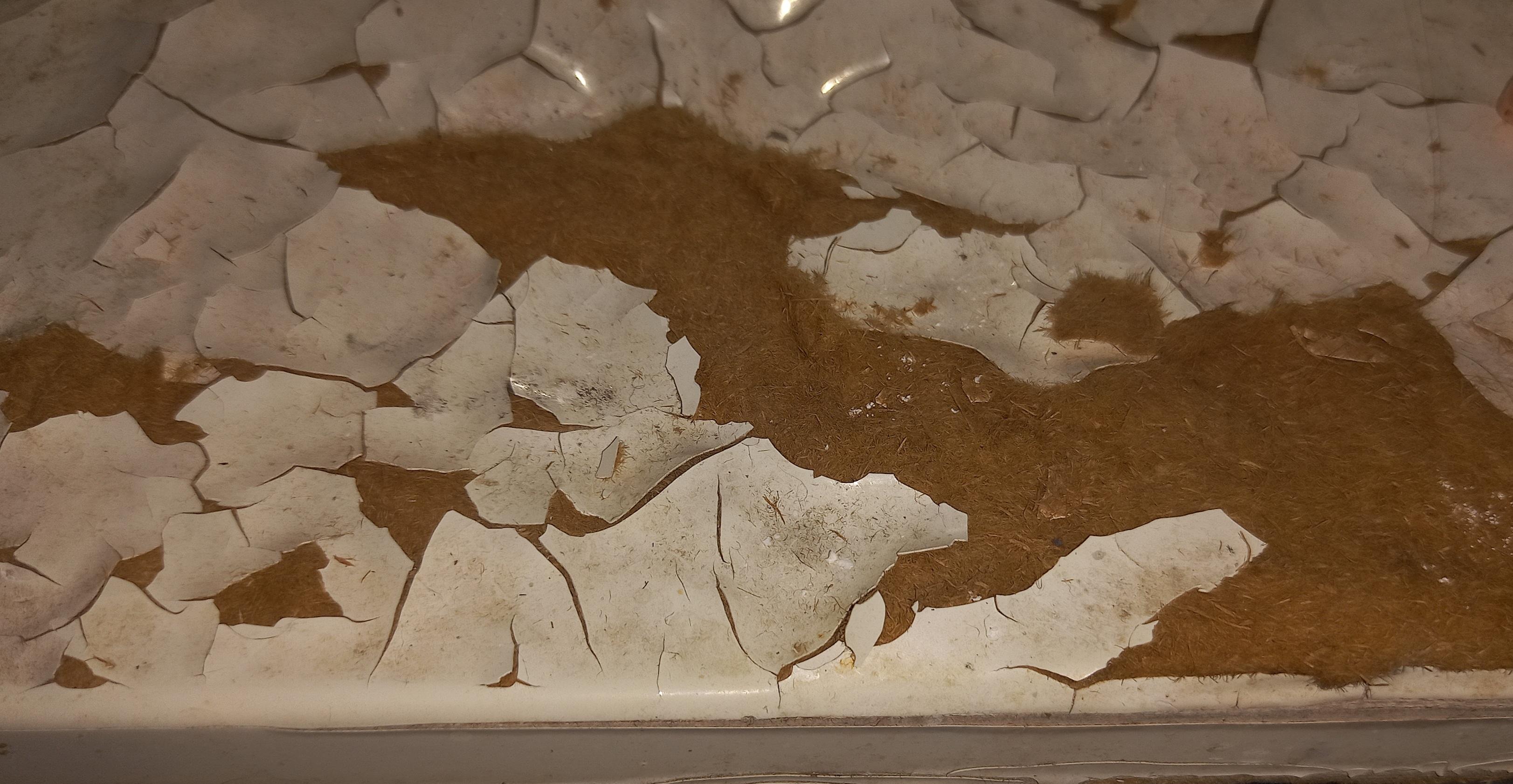 Зеркало со шкафчиком Aqua Rodos Decor 70 шкафчик справа в реальных условиях использования от пользователя Олег Вікторович.