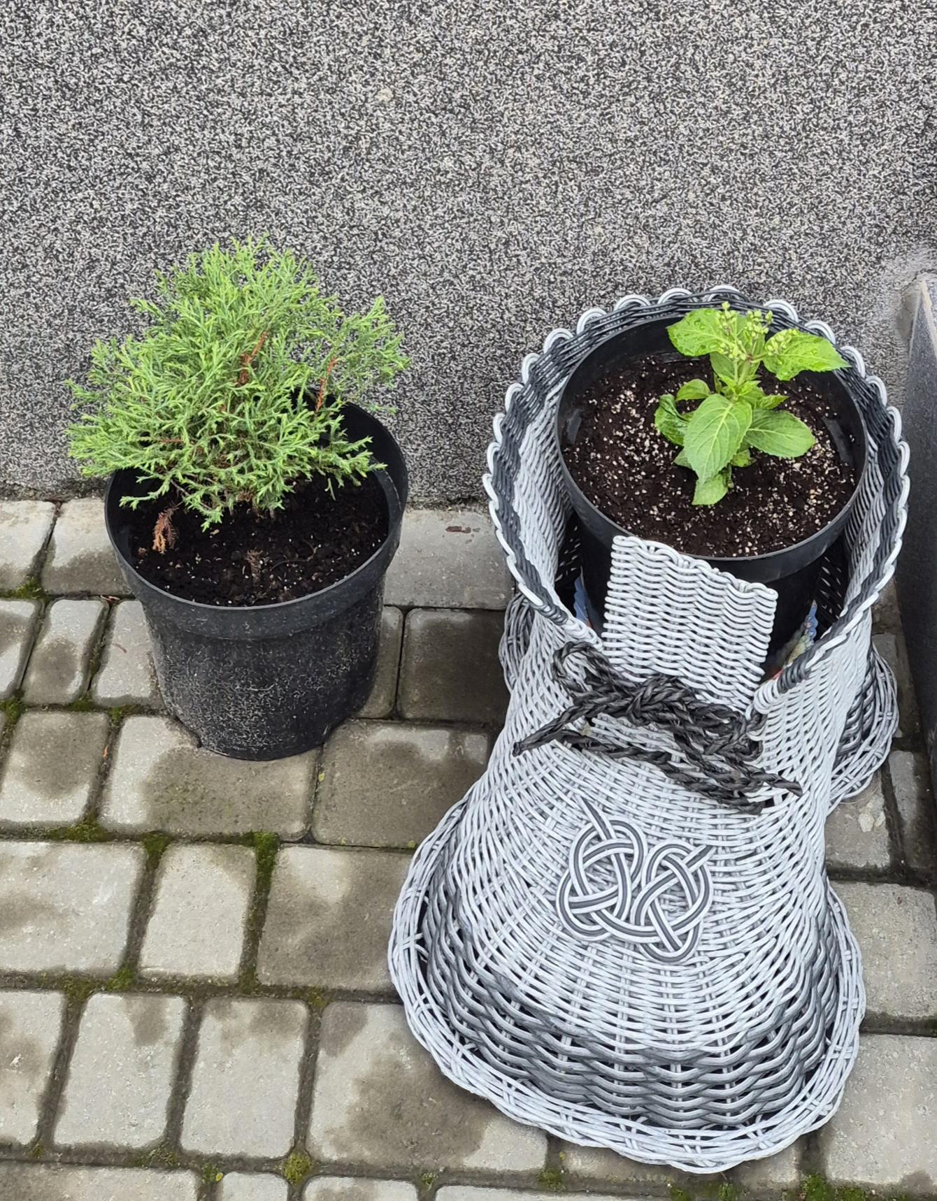 Декор Ботинок из искусственного ротанга (14586309) в реальных условиях использования от пользователя Юлія.