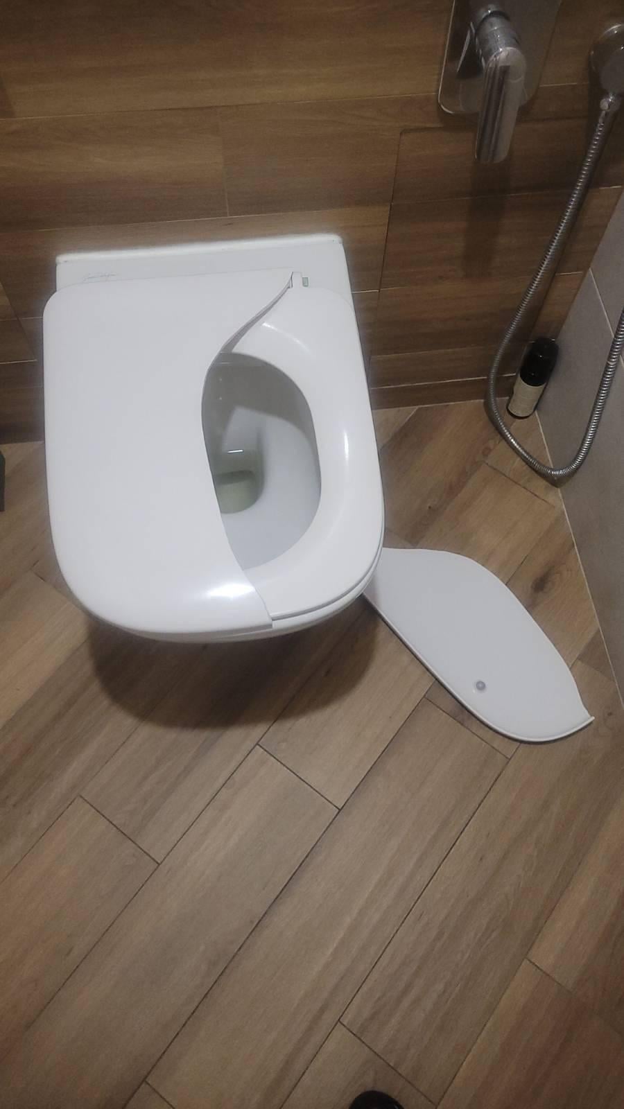 Сиденье для унитаза Jacob Delafon Vox E20142-00 в реальных условиях использования от пользователя Інна.