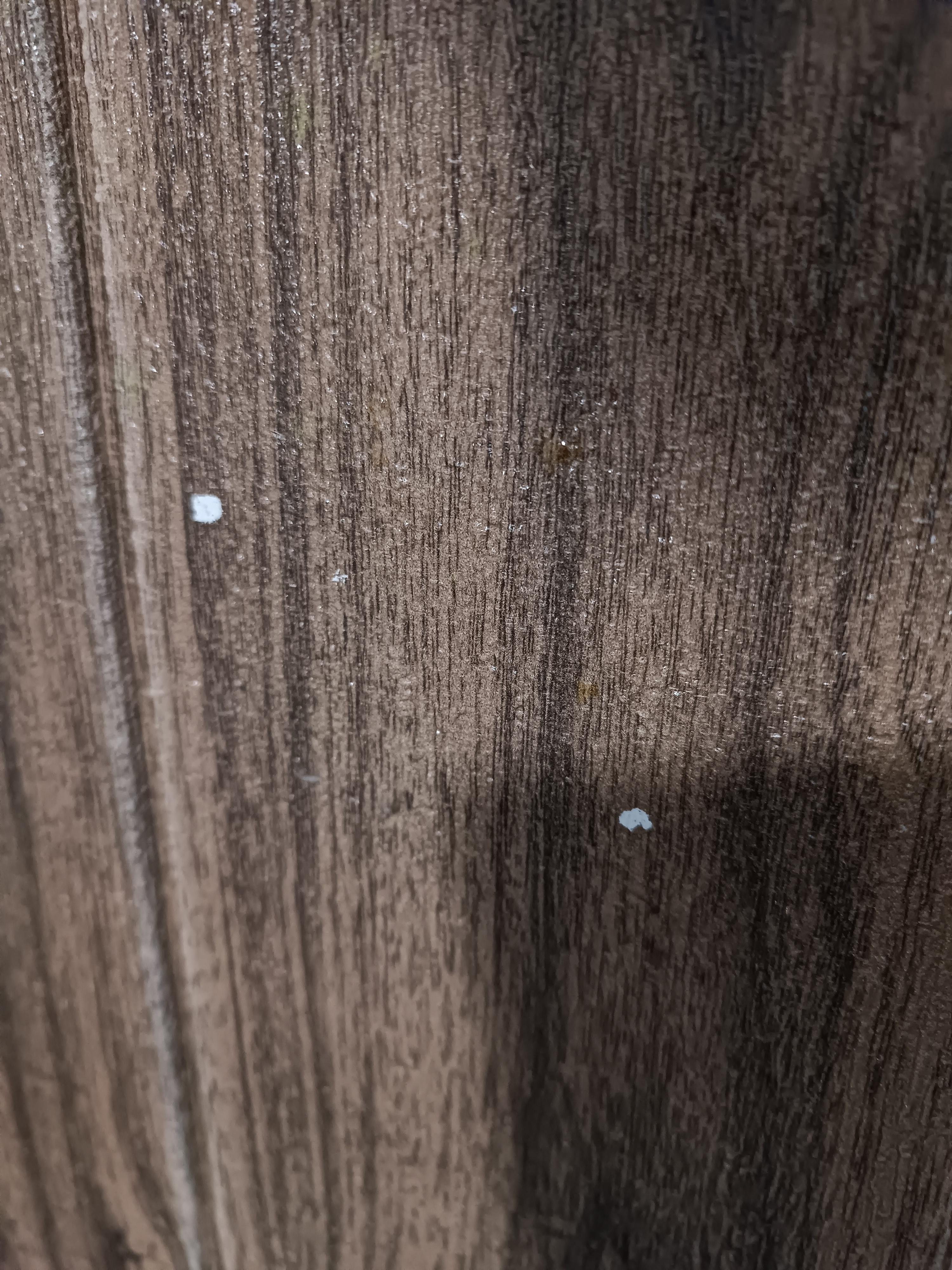 Панель самоклеюча Sticker Wall 700x700x5 мм дуб темний (83) у реальних умовах використання від покупця Анна.