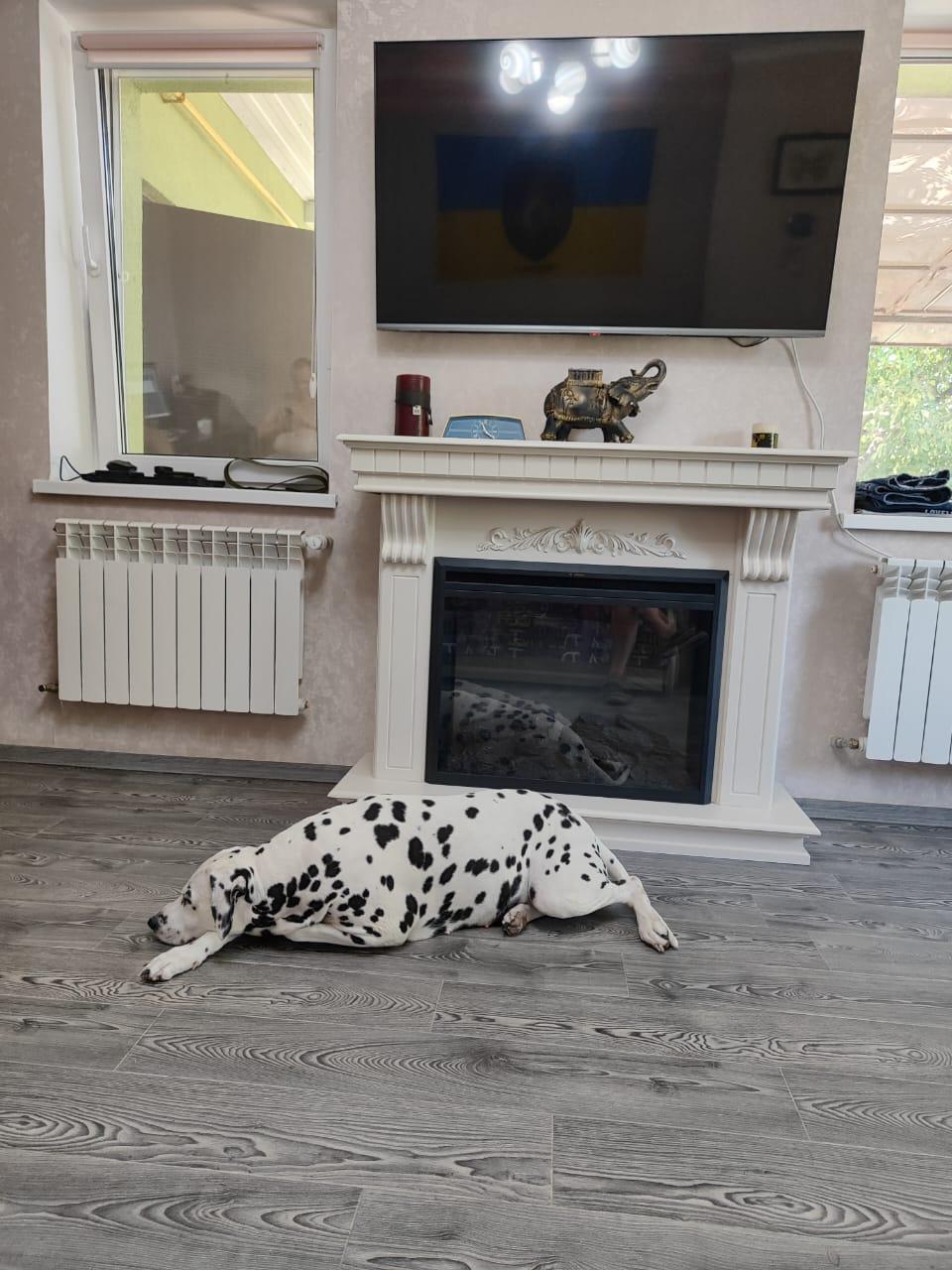 Камінокомплект ASTRA FLAME Модена 151 у реальних умовах використання від покупця Сергій.