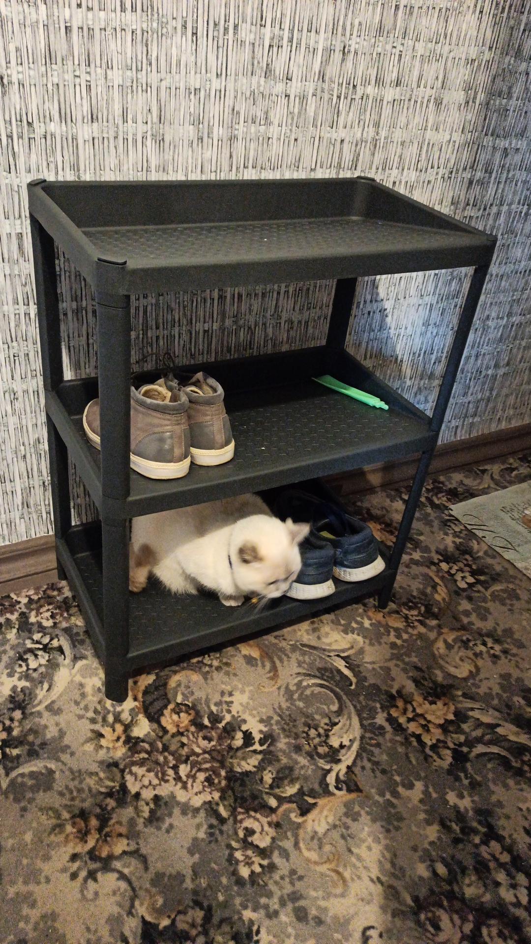 Подставка под обувь Комфорт пластиковая гранит 330x560x700 мм в реальных условиях использования от пользователя Лариса.