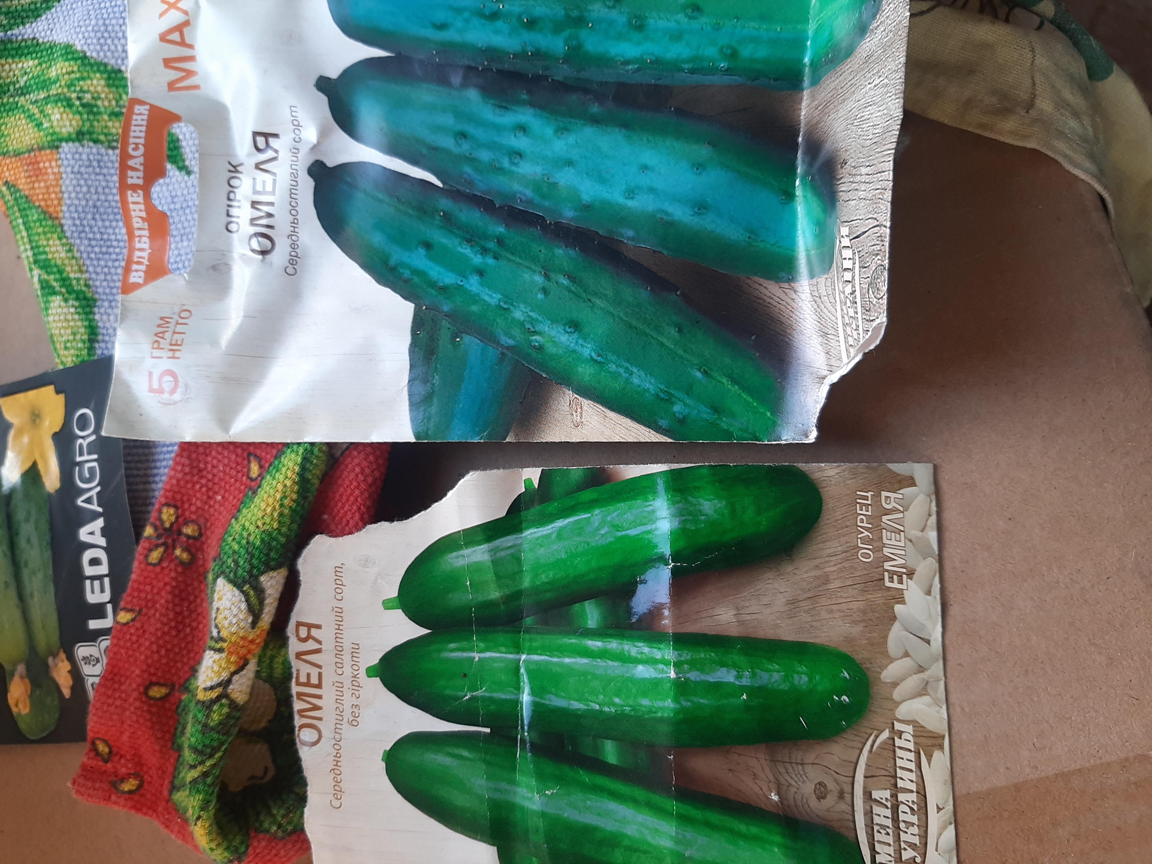 Семена огурец Омеля 5 г Насіння України в реальных условиях использования от пользователя Дмитрий.
