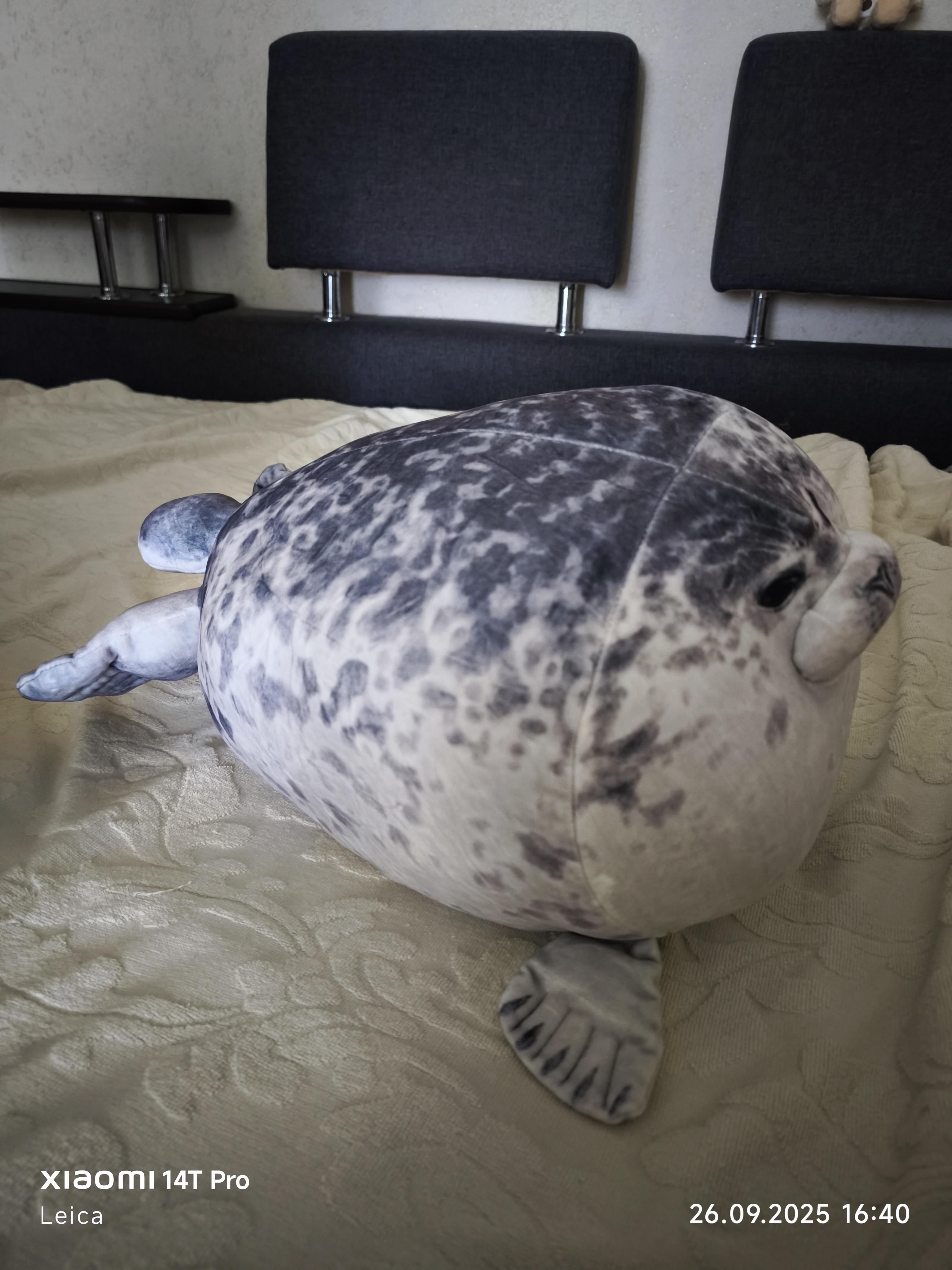 Іграшка-подушка Тюлень 60 см (24984753) у реальних умовах використання від покупця Виталий.