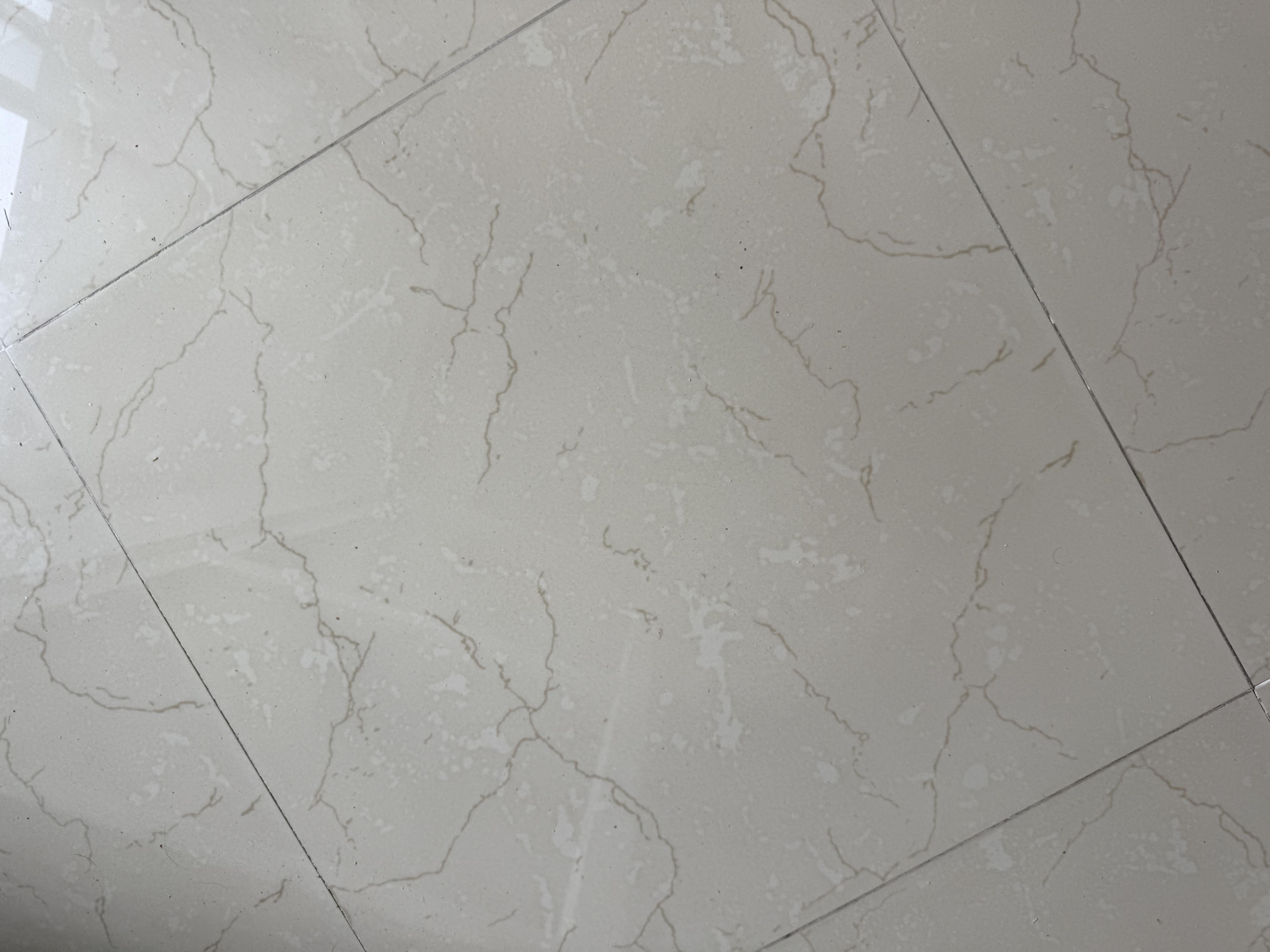 Фото: Плитка Allore Group Eleganza Beige F P R Somat 60x60 см, отправлено пользователем Ігор Плитка Allore Group Eleganza Beige F P R Somat 60x60 см в реальных условиях использования от пользователя Ігор.