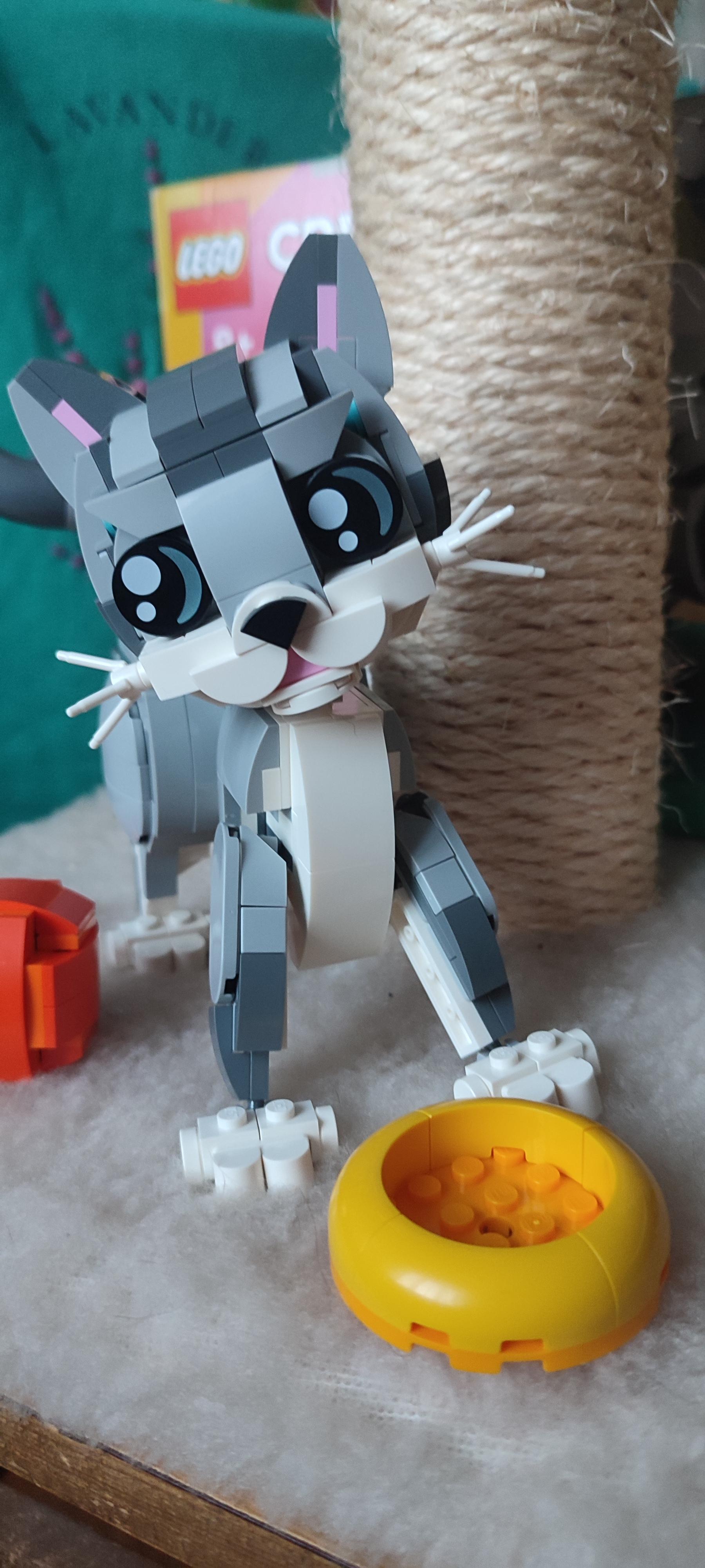 Конструктор LEGO Creator Игривый кот 31163 в реальных условиях использования от покупателя Вероніка.
