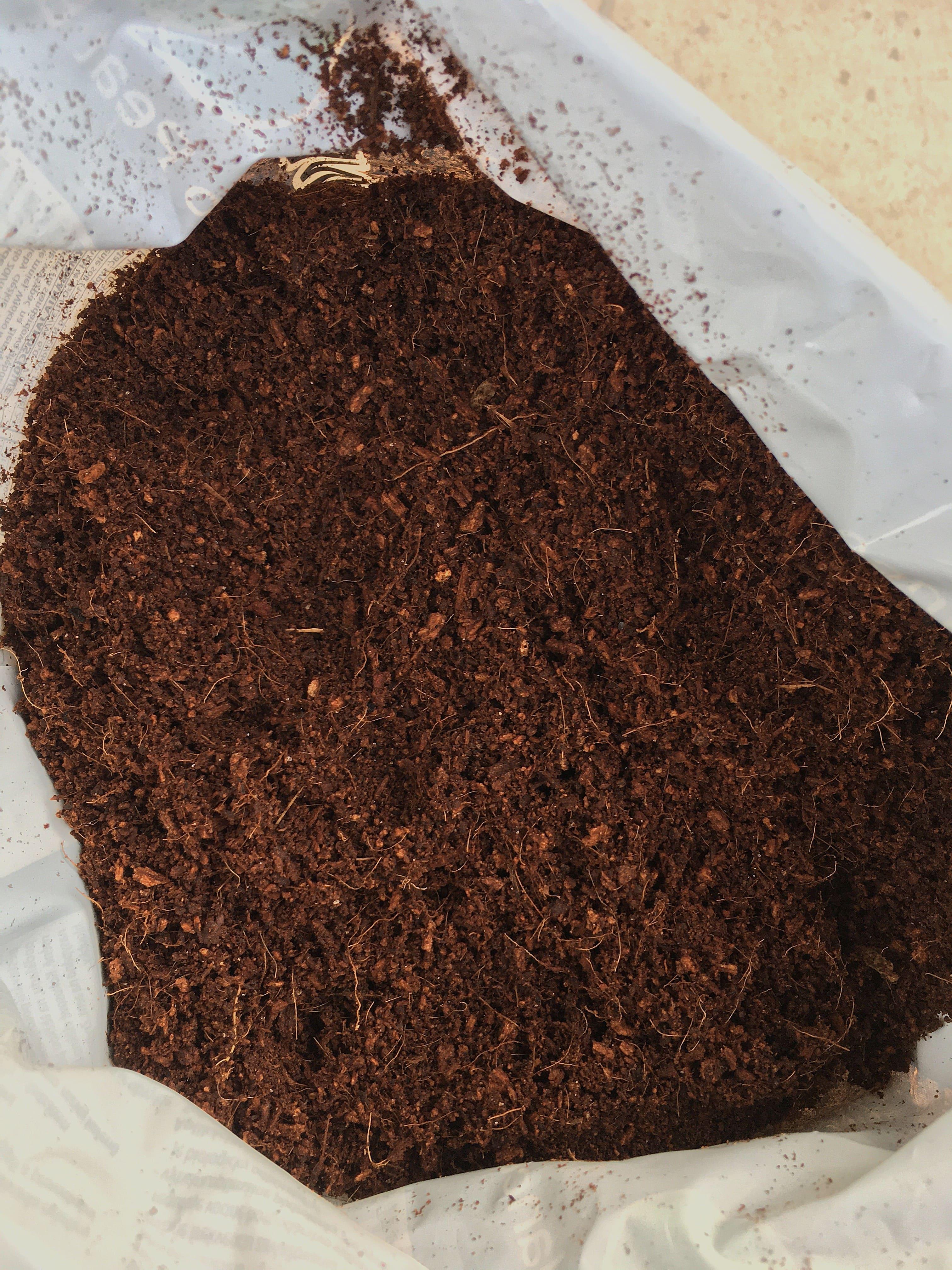 Кокосовый субстрат Biovita Coco Peat balance 5 л в реальных условиях использования от пользователя Владислав.