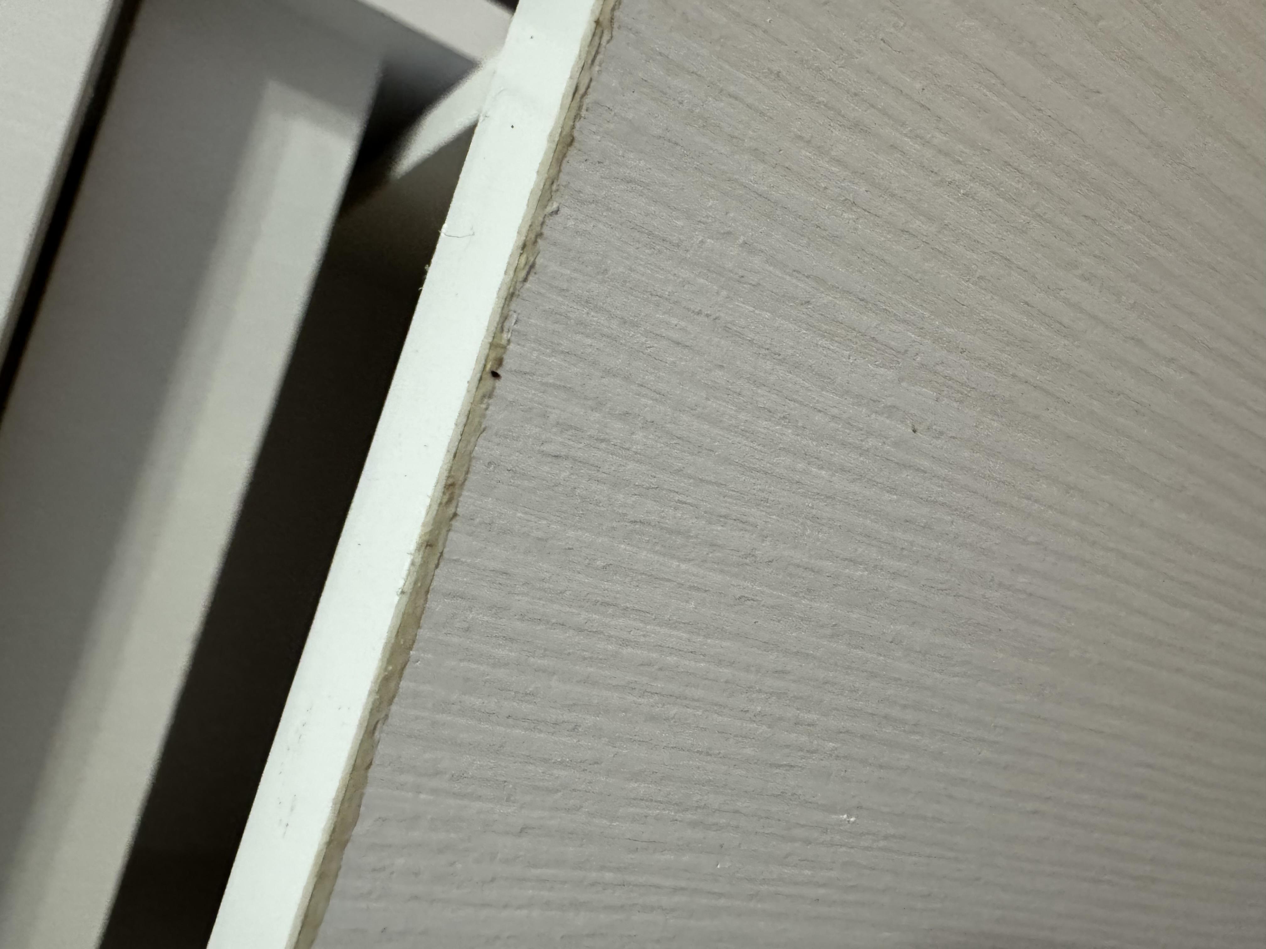 Стол письменный Компанит Декан 110х60х74 см Нимфея альба (9669417) в реальных условиях использования от пользователя Олена.