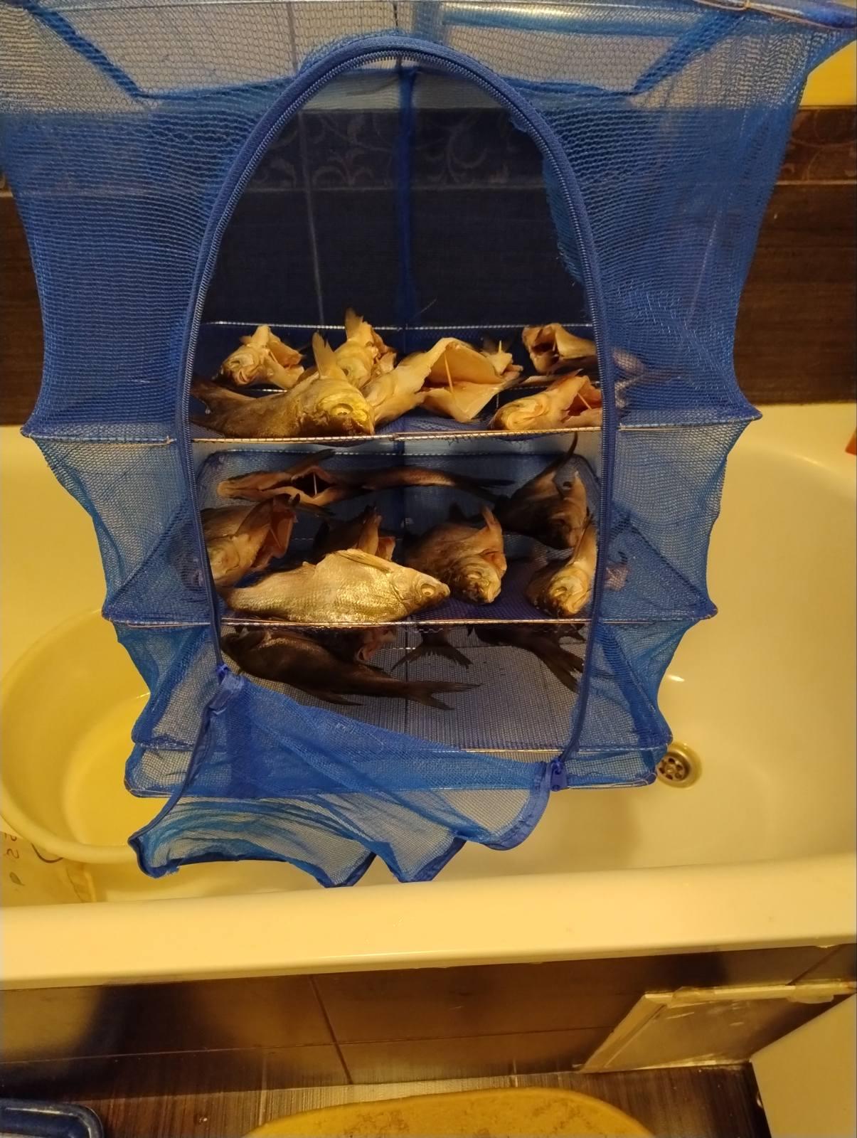 Фото: Сетка подвесная для сушки рыбы и фруктов 50х50х70 см 4 полок Синий (1258971853), отправлено пользователем Сергей Сетка подвесная для сушки рыбы и фруктов 50х50х70 см 4 полок Синий (1258971853) в реальных условиях использования от пользователя Сергей.