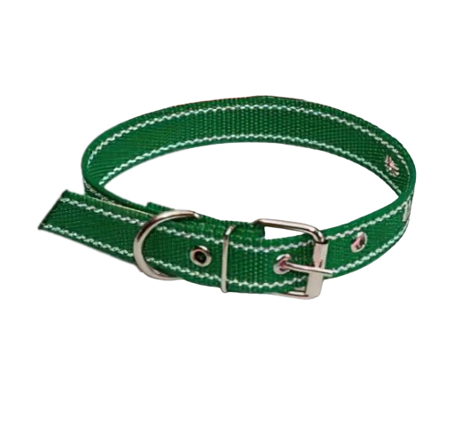 Нашийник для тварин капроновий подвійний 30 мм х 43-53 см Зелений (2296448999)