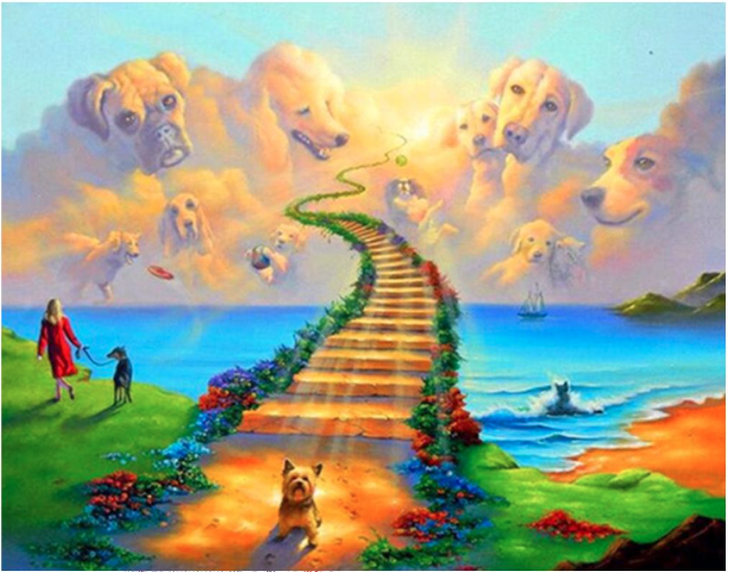 Алмазная мозаика Cornix Art AY05 40x30 см (4268)