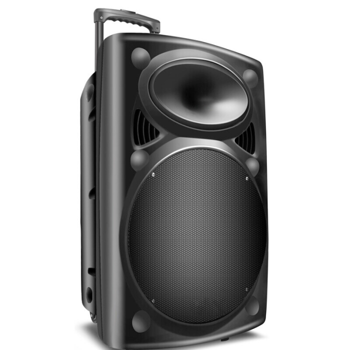 Портативная акустика с двумя микрофонами Su-Kam BT 120D (27876688)