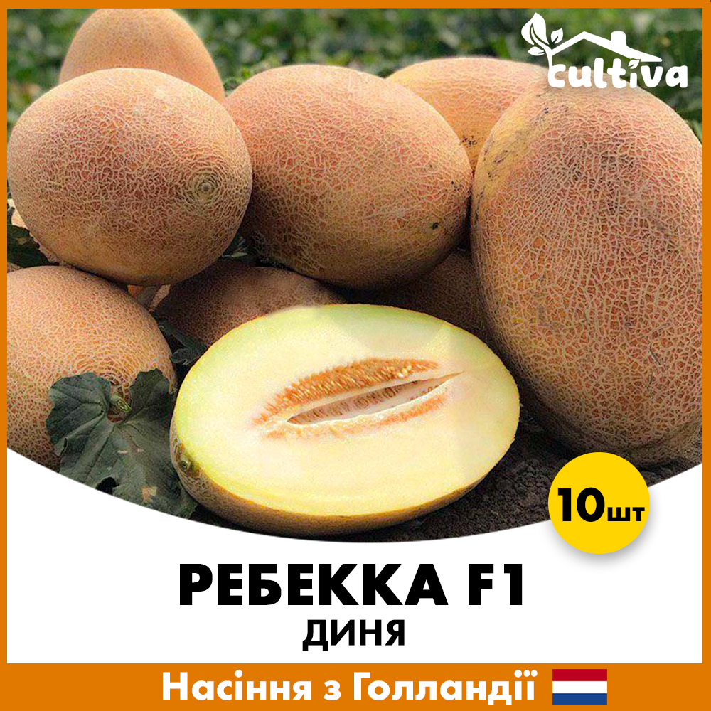 Семена дыни Hazera Ребекка F1 10 шт. (R50227-10)