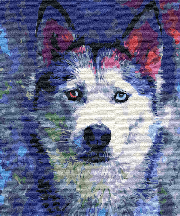 Картина за номерами Brushme Погляд Хаскі 40x50 см (BS51460)