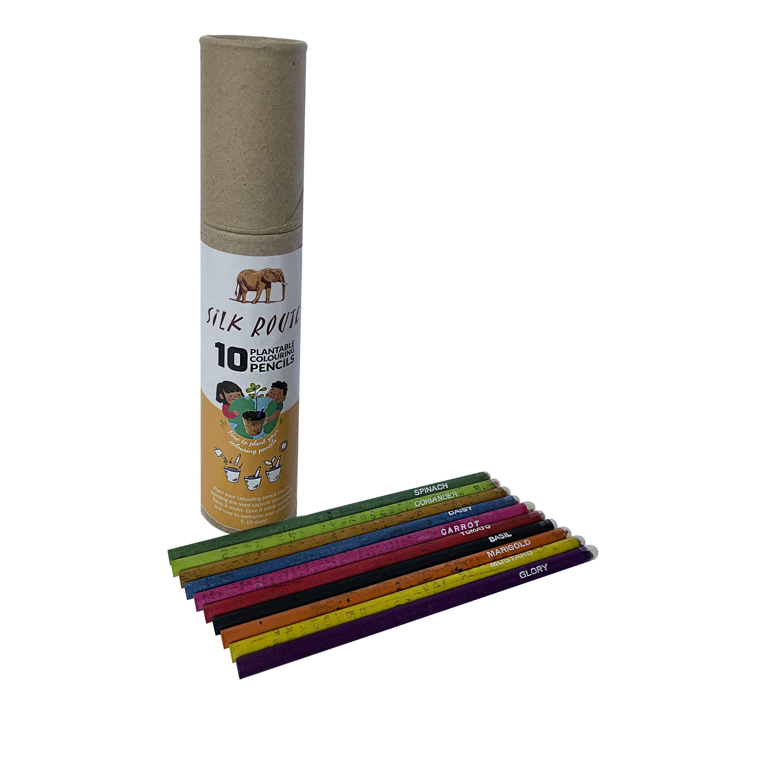 Набор канцелярский Silk Route a-808 Эко с семенами