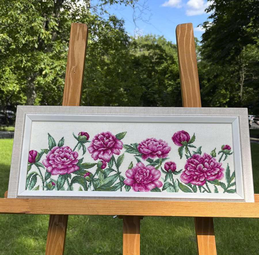 Набір для вишивання муліне ДМС Півонії на тканині DMC 849CM ecru 58x22 см (М-0990)