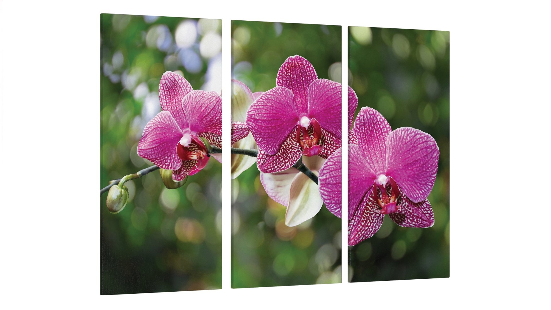 Картина модульная Цветы Весна (Art-117_XXL)