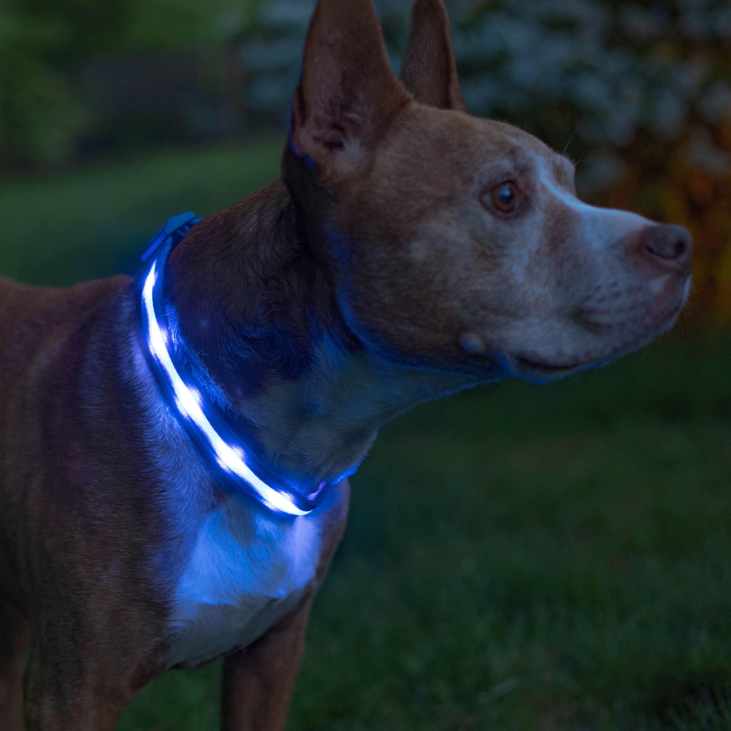 Ошейник с подсветкой для собак на батарейках UFT PET 1 LED M Blue - фото 2 Ошейник с подсветкой для собак на батарейках UFT PET 1 LED M Blue - фото 2