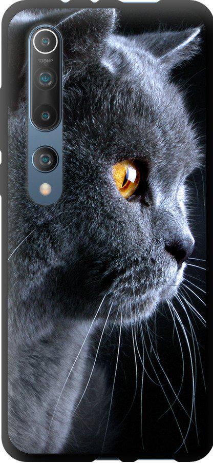 Чехол на Xiaomi Mi 10 Красивый кот (3038b-1860-42517) Чехол на Xiaomi Mi 10 Красивый кот (3038b-1860-42517)