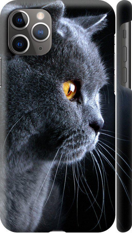 Чехол на iPhone 11 Pro Max Красивый кот (3038m-1723-42517)