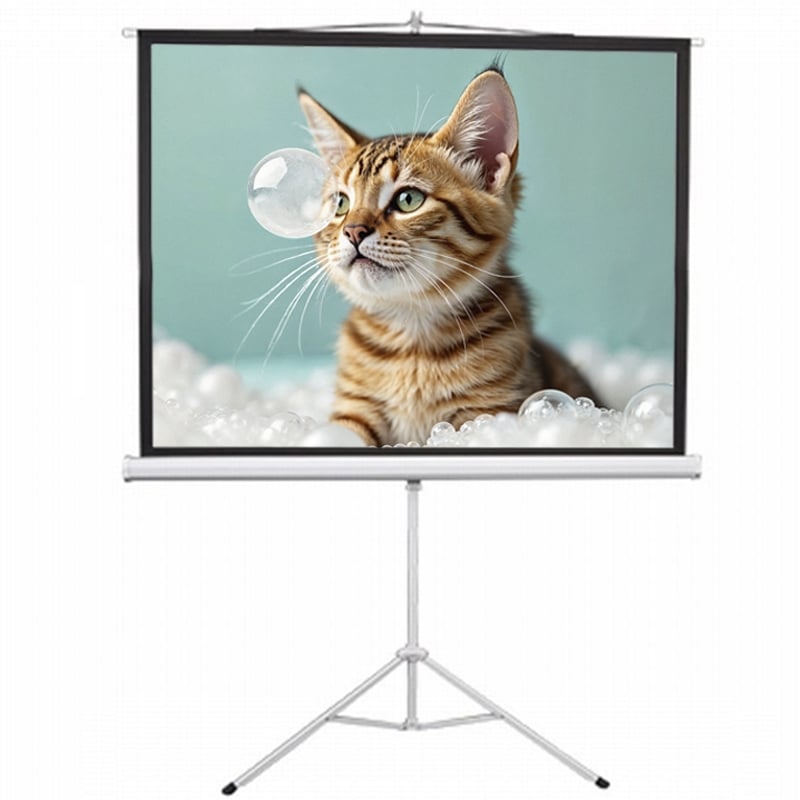 Екран для проєкторів EQUIPIFY SRM-1104 мобільний тринога 120" 244x183 см 4:3 (tf2928) Екран для проєкторів EQUIPIFY SRM-1104 мобільний тринога 120" 244x183 см 4:3 (tf2928)